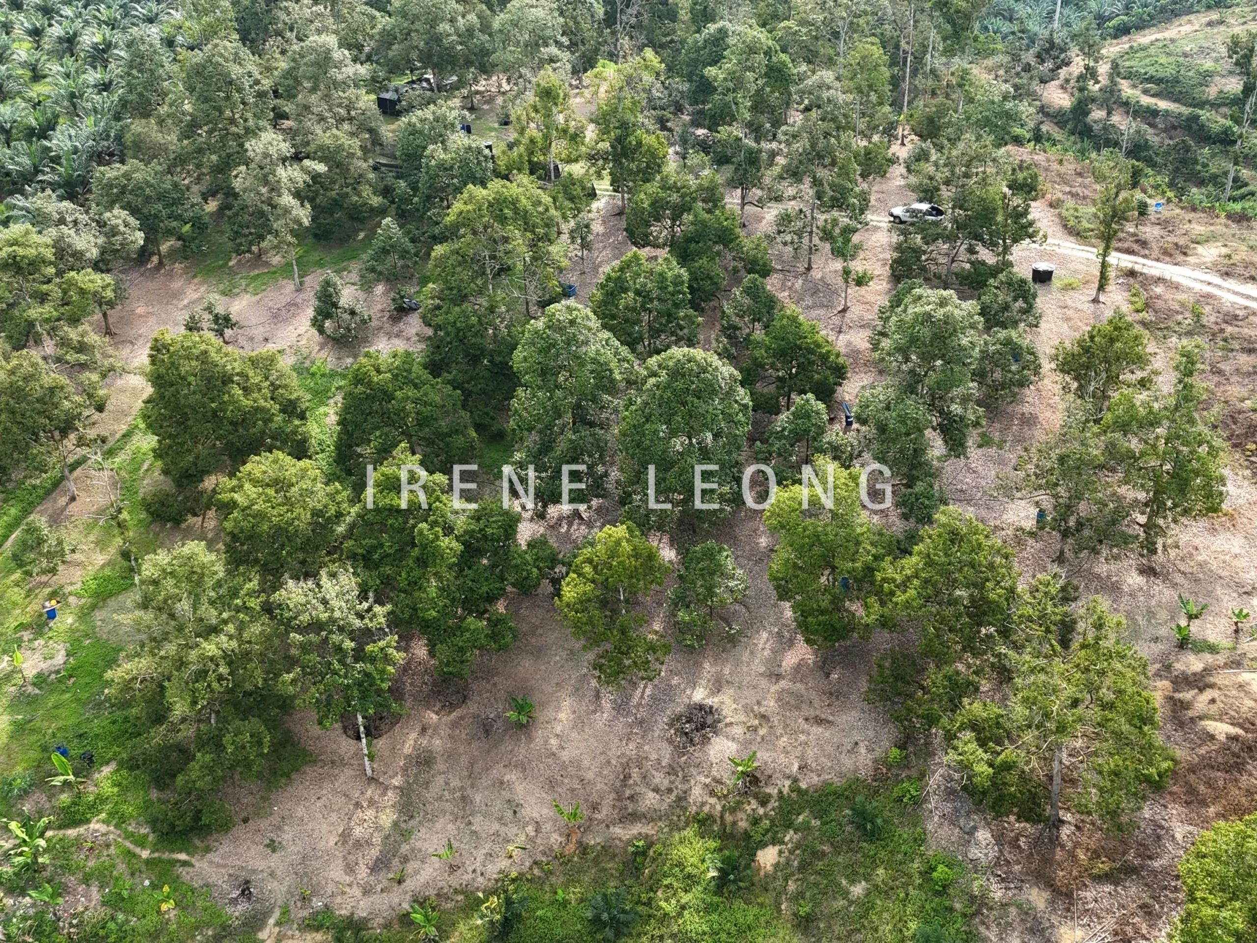 DJI_20241001164936_0575_D-min_cropped