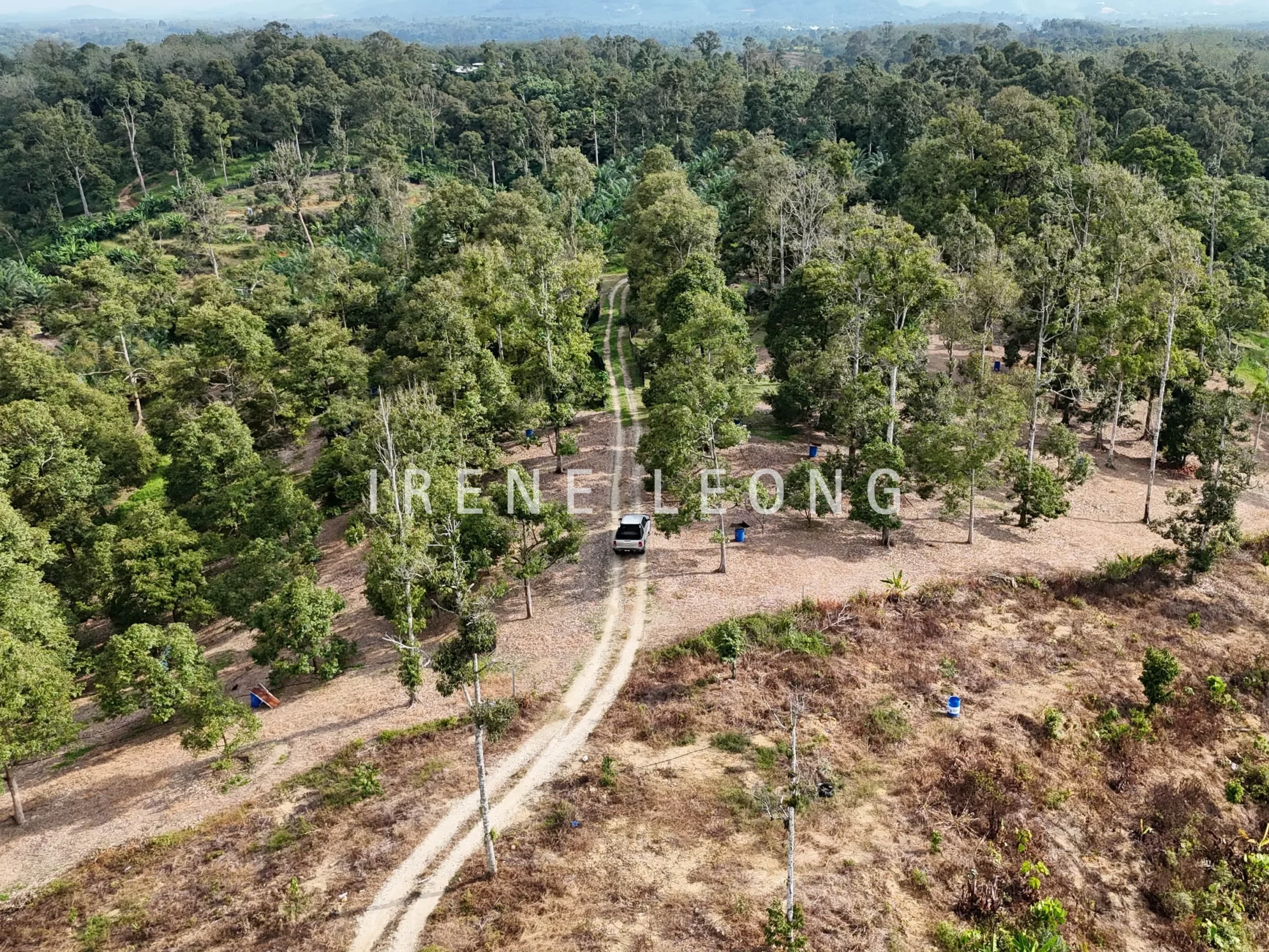 DJI_20241001165007_0577_D-min_cropped