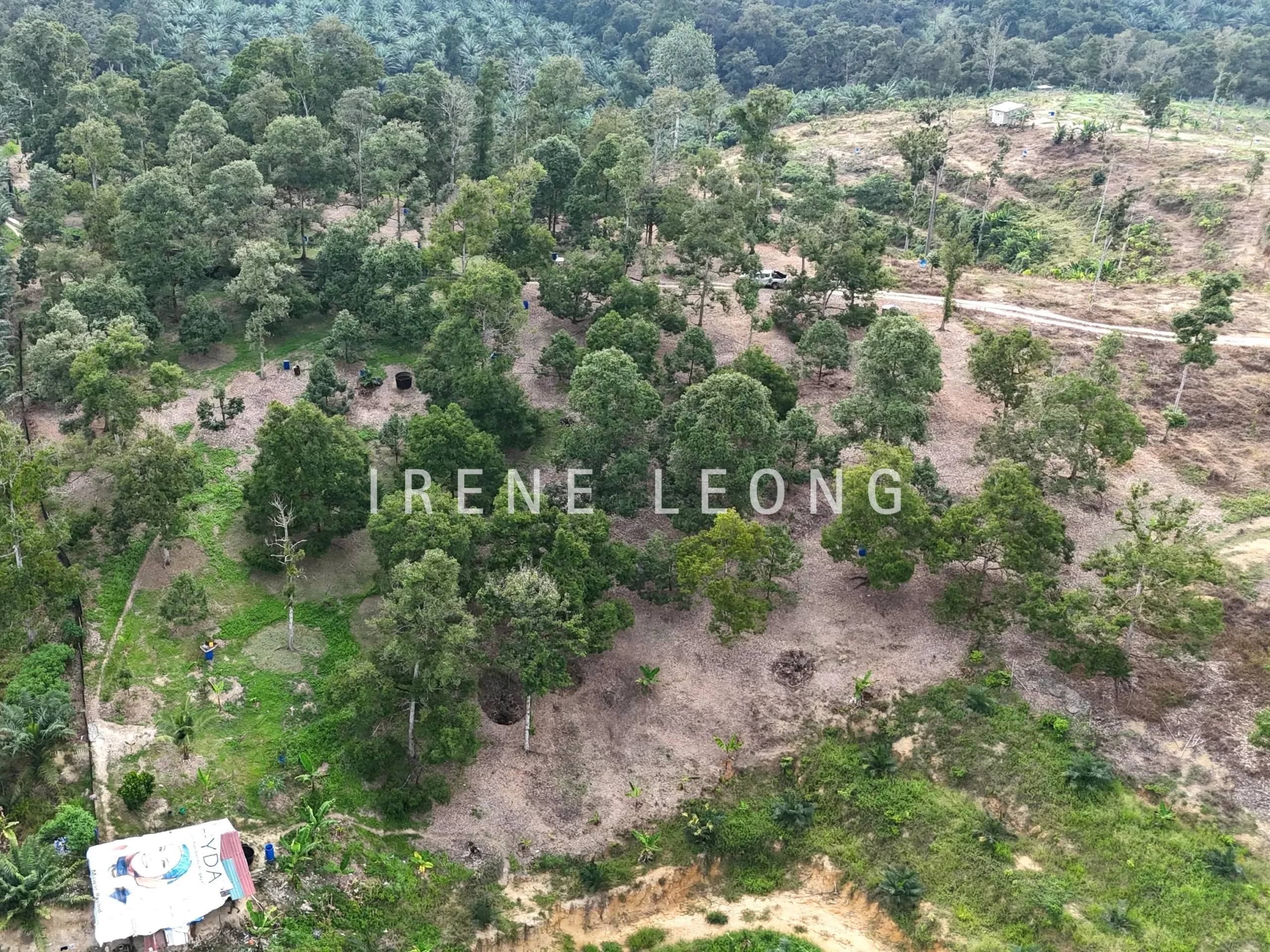 DJI_20241001165424_0588_D-min_cropped