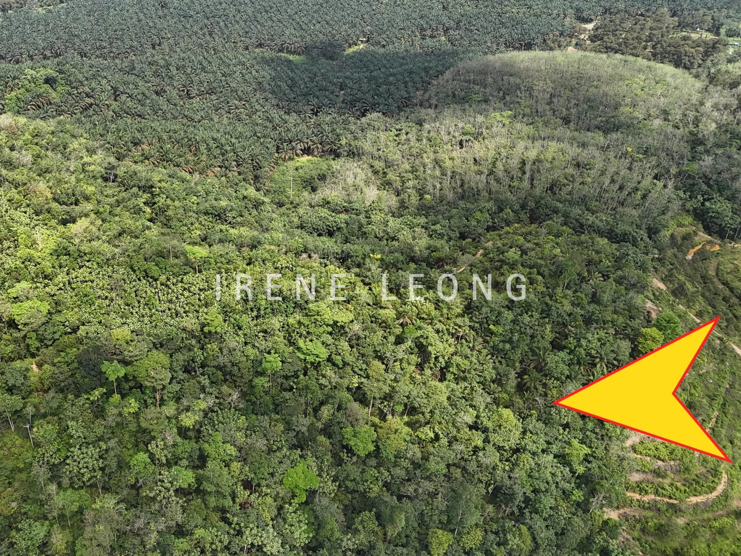 DJI_20250519150530_0032_D-min-1_cropped