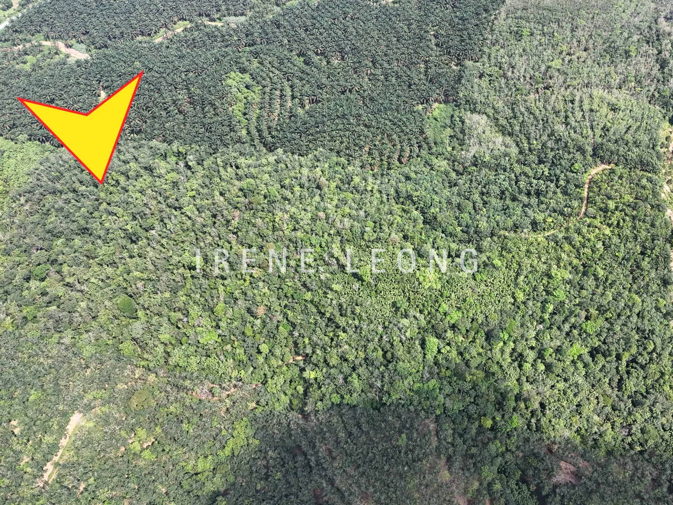 DJI_20250519150900_0039_D-min-1_cropped