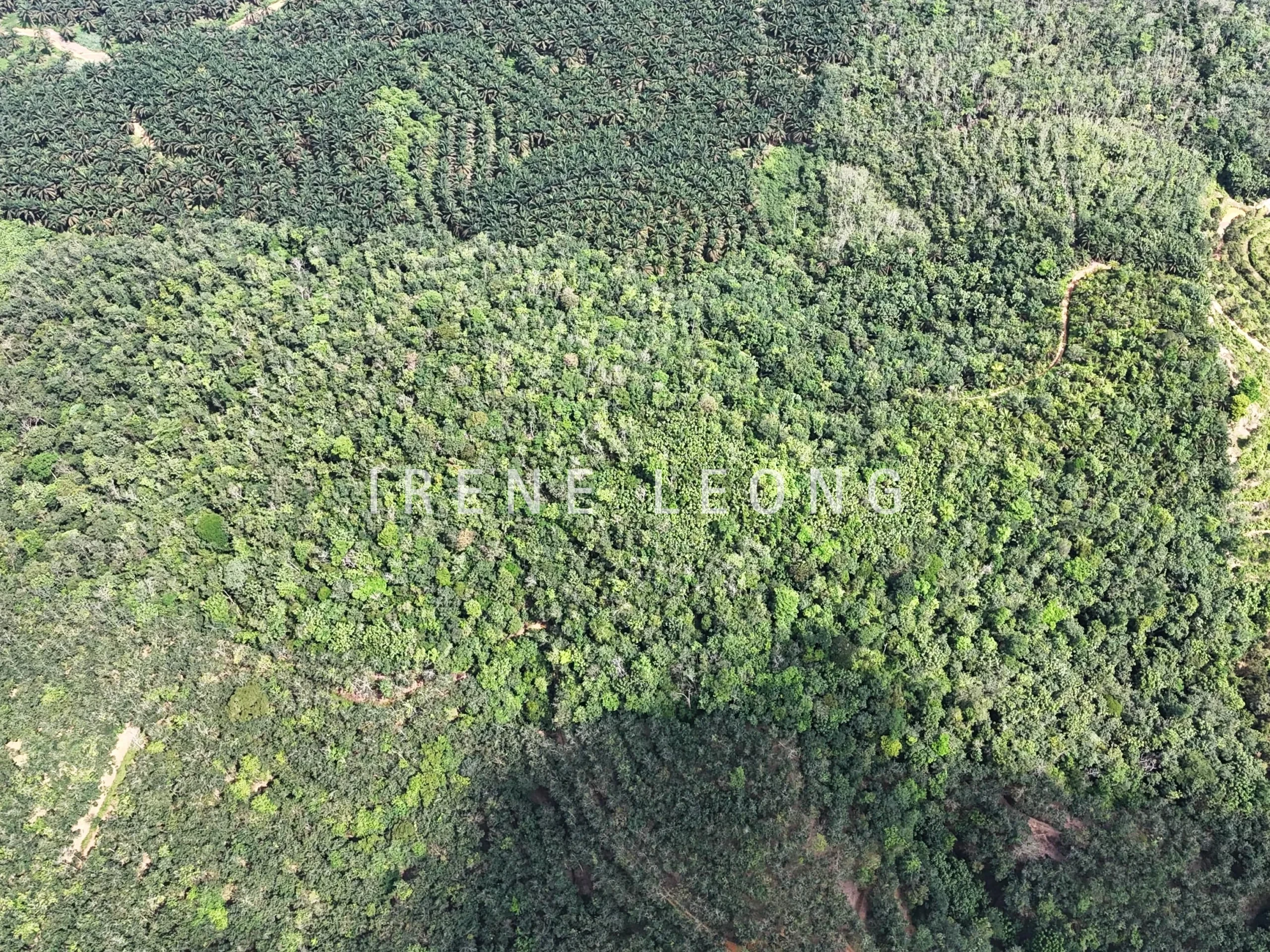 DJI_20250519150914_0042_D-min_cropped