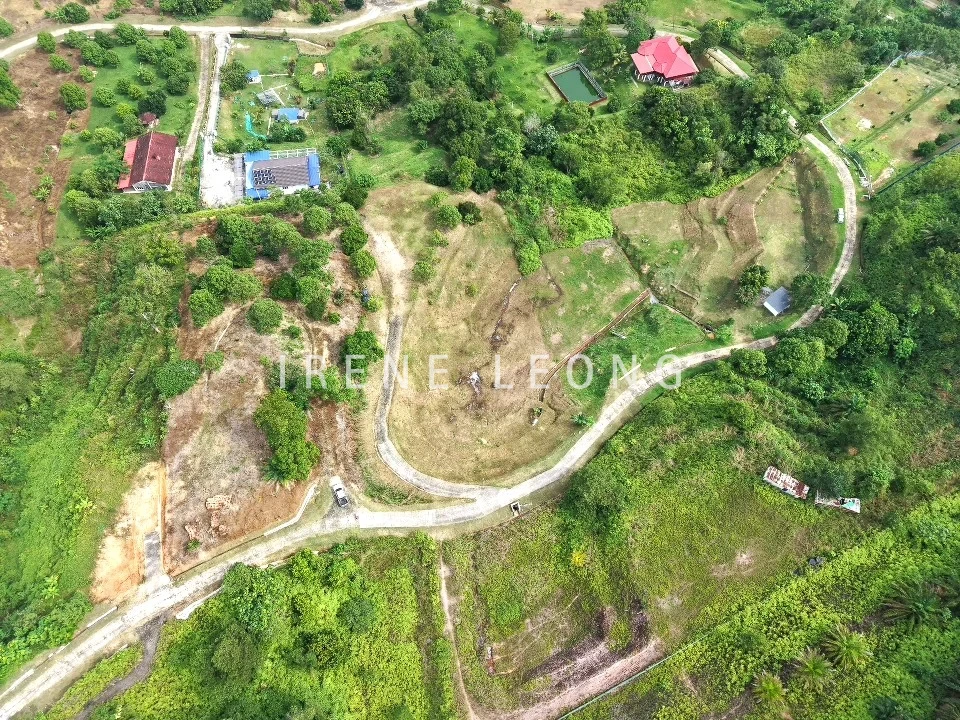 DJI_20260121110113_0033_D