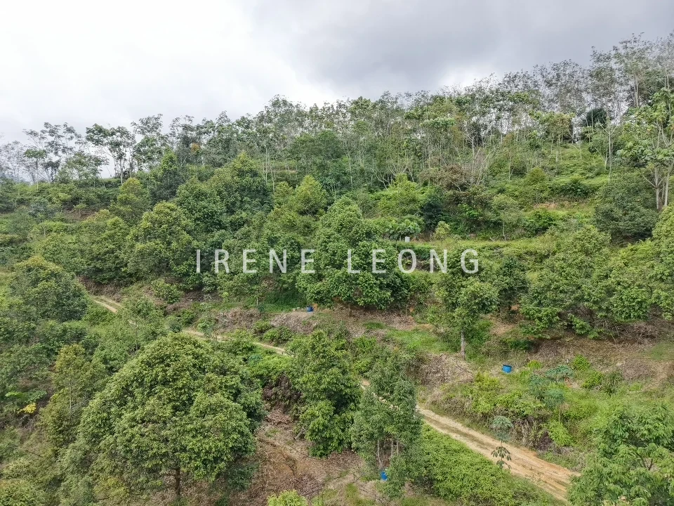 DJI_20260121115447_0048_D