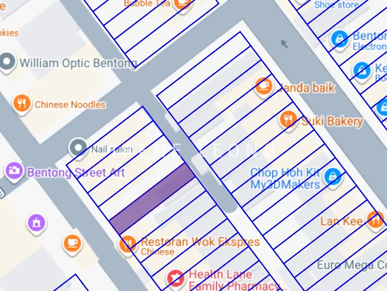 Google Road Without Lot No