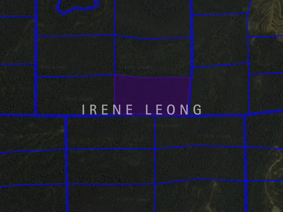 Screenshot 2026-04-10 211156_cropped