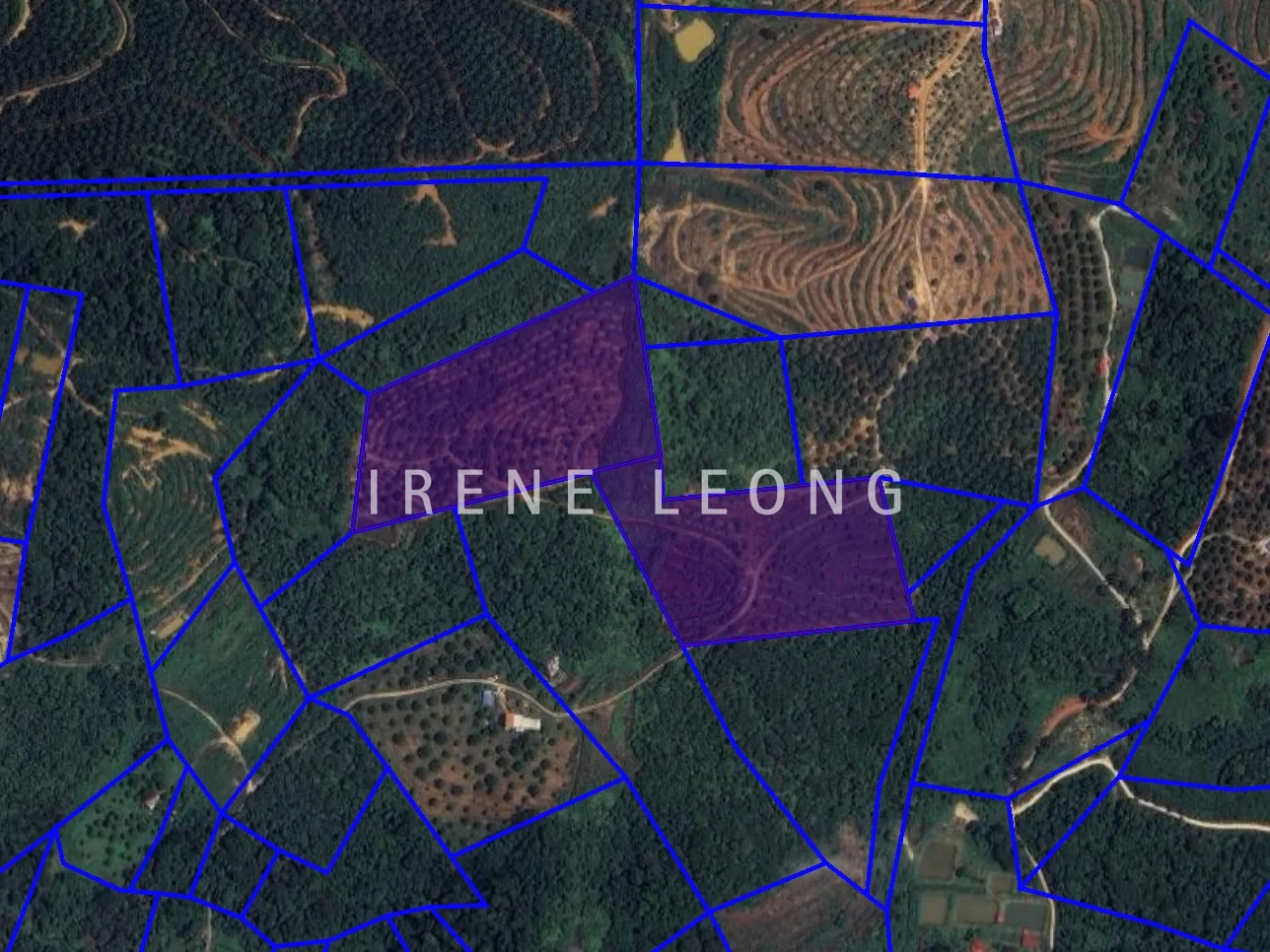 Screenshot 2026-05-22 162751