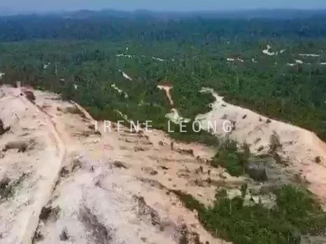 VIDEO-2024-03-06-18-27-58 - frame at 0m42s