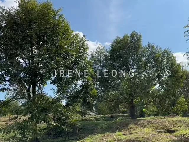 WhatsApp Video 2023-06-01 at 14.49
