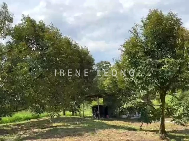 WhatsApp Video 2023-06-01 at 14.49