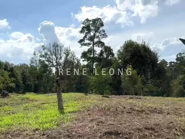 WhatsApp Video 2023-06-01 at 14.49