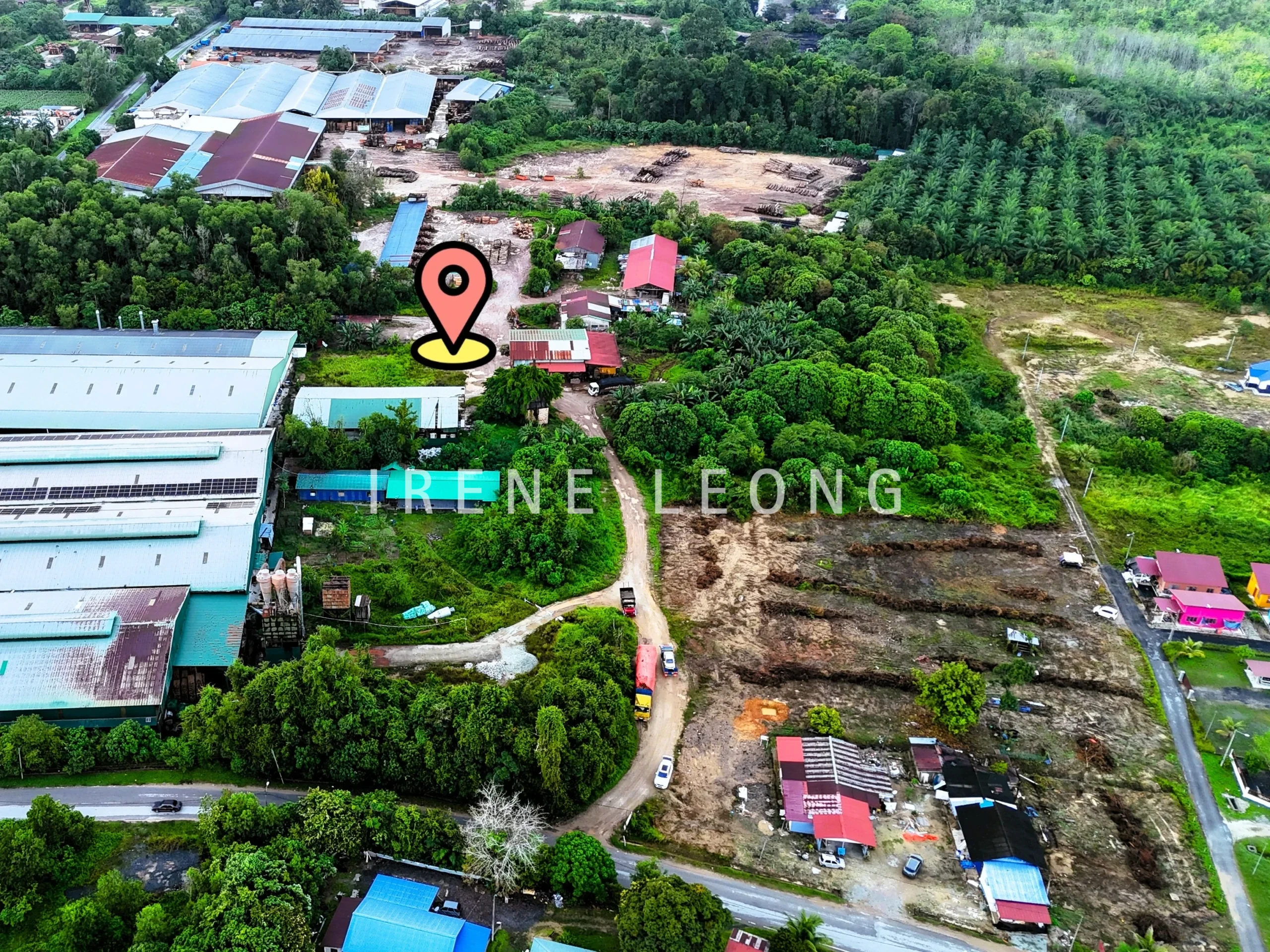 dji_fly_20250311_190534_0912_1741744566558_photo