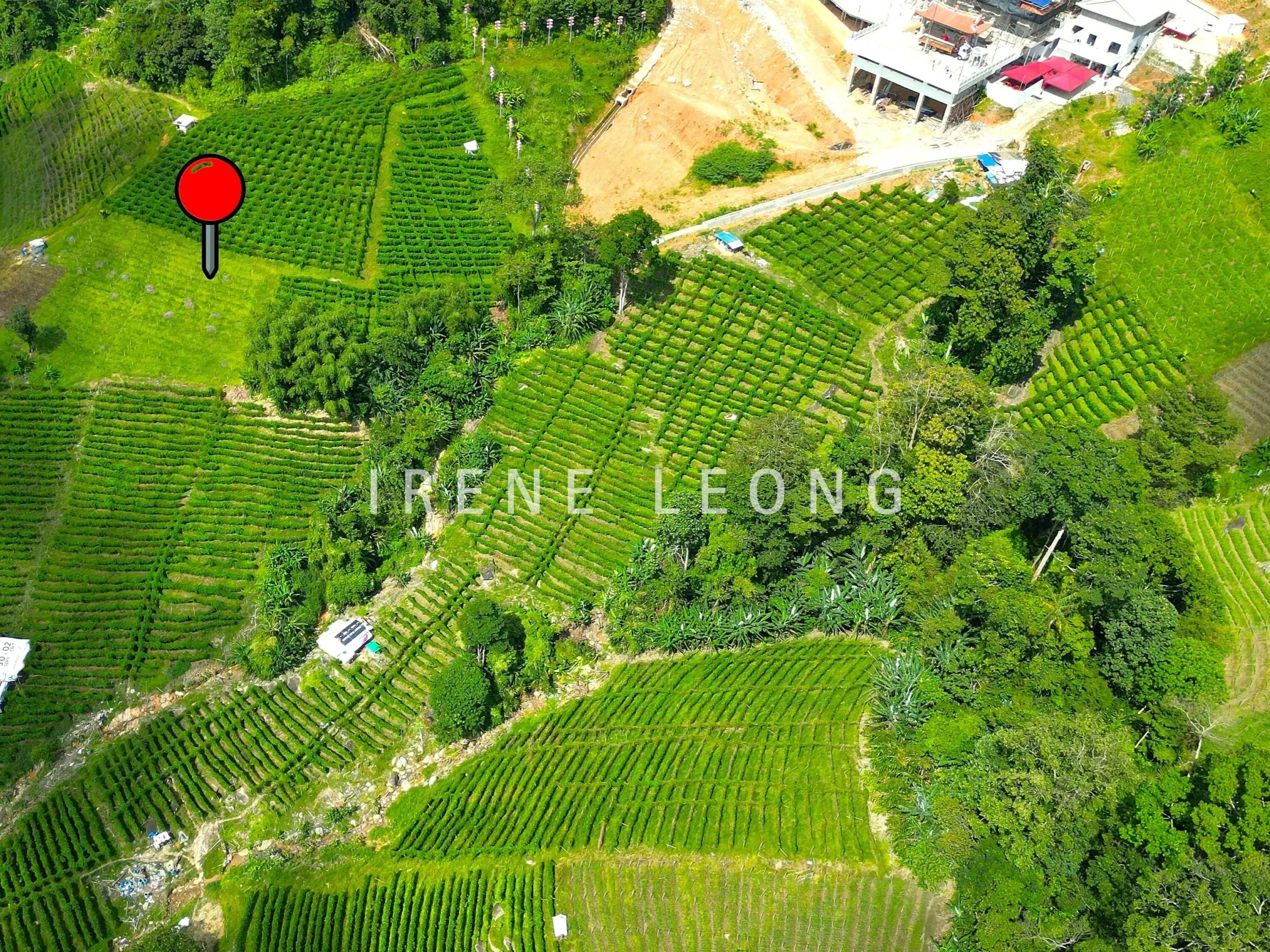 DJI_0291--crushimage