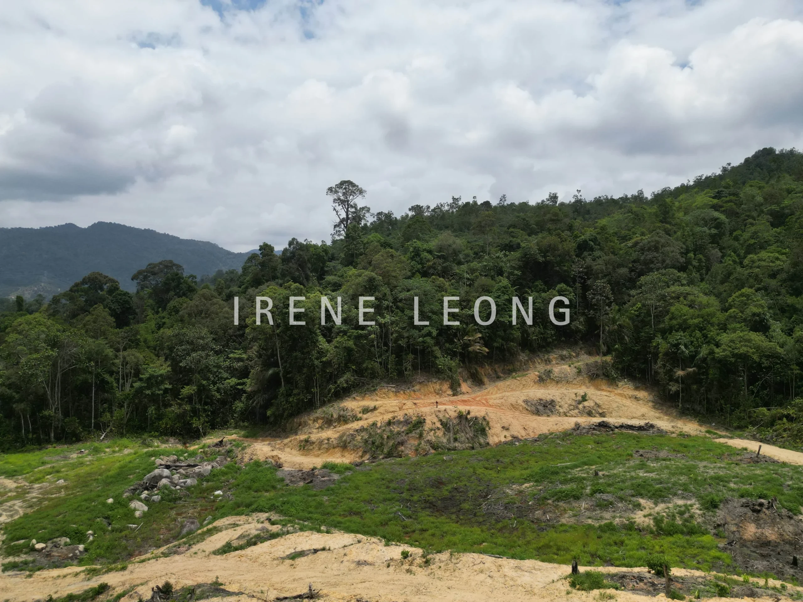 DJI_0419-CompressJPG