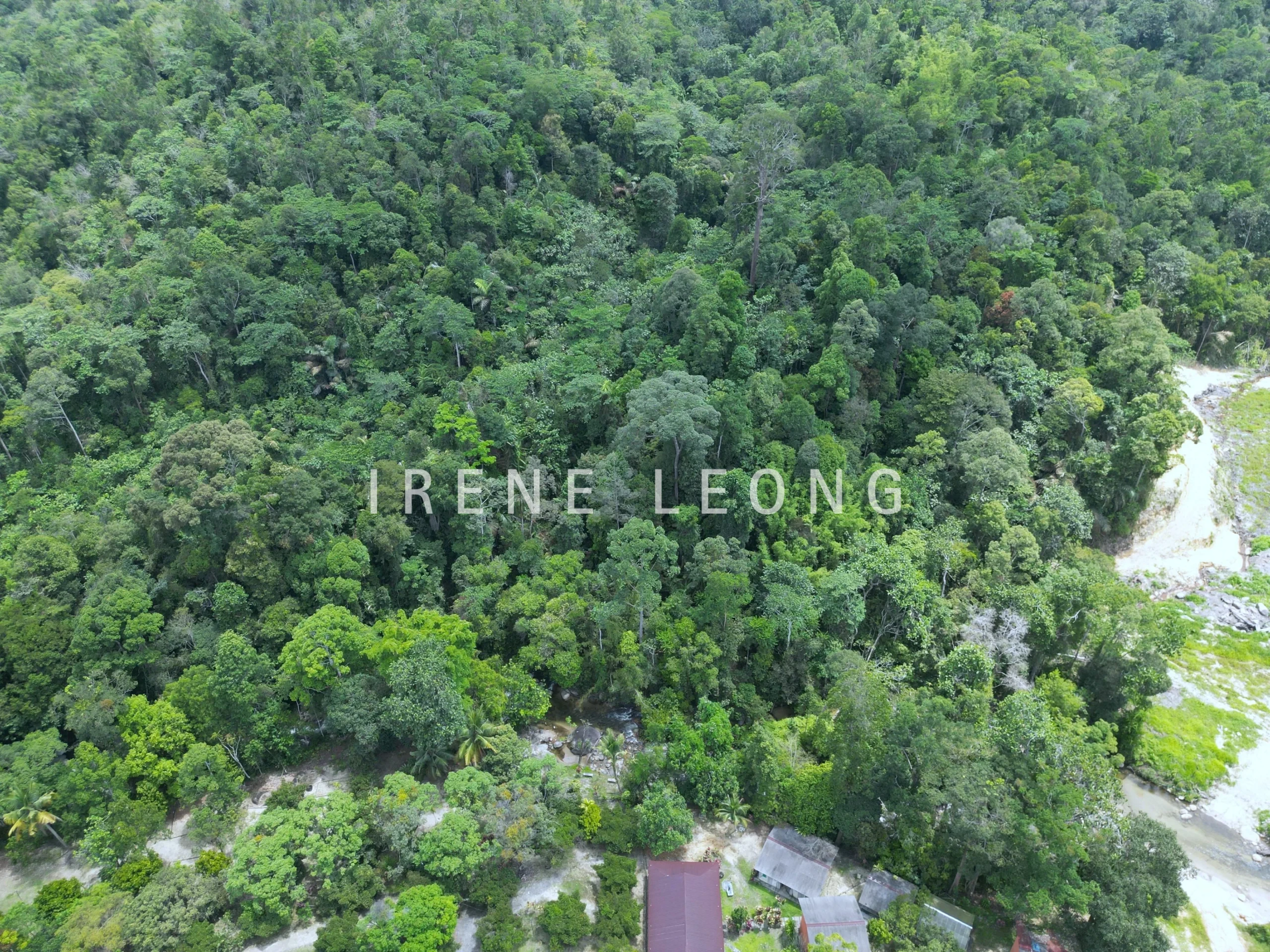 DJI_0455-CompressJPG