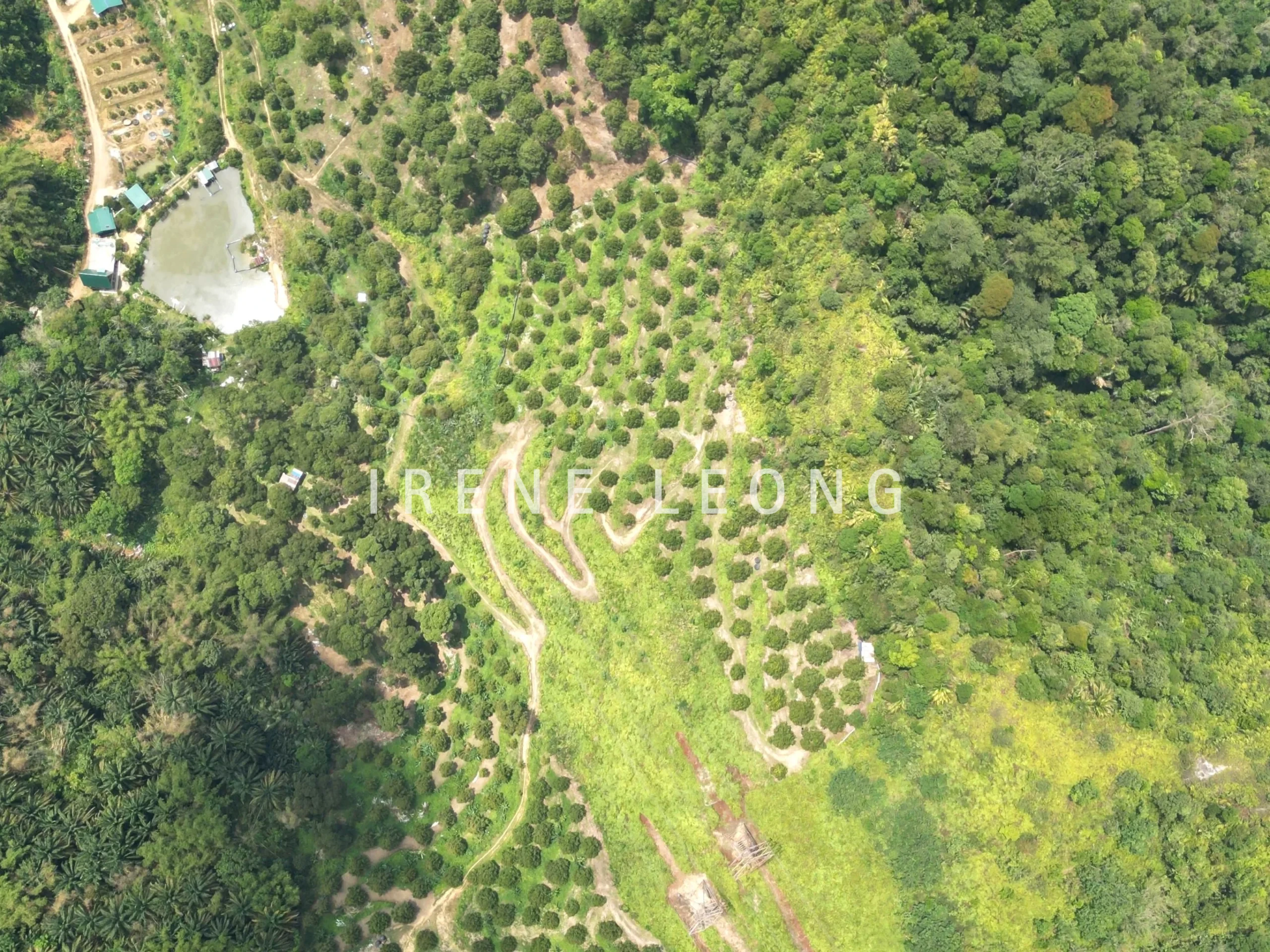 DJI_0477