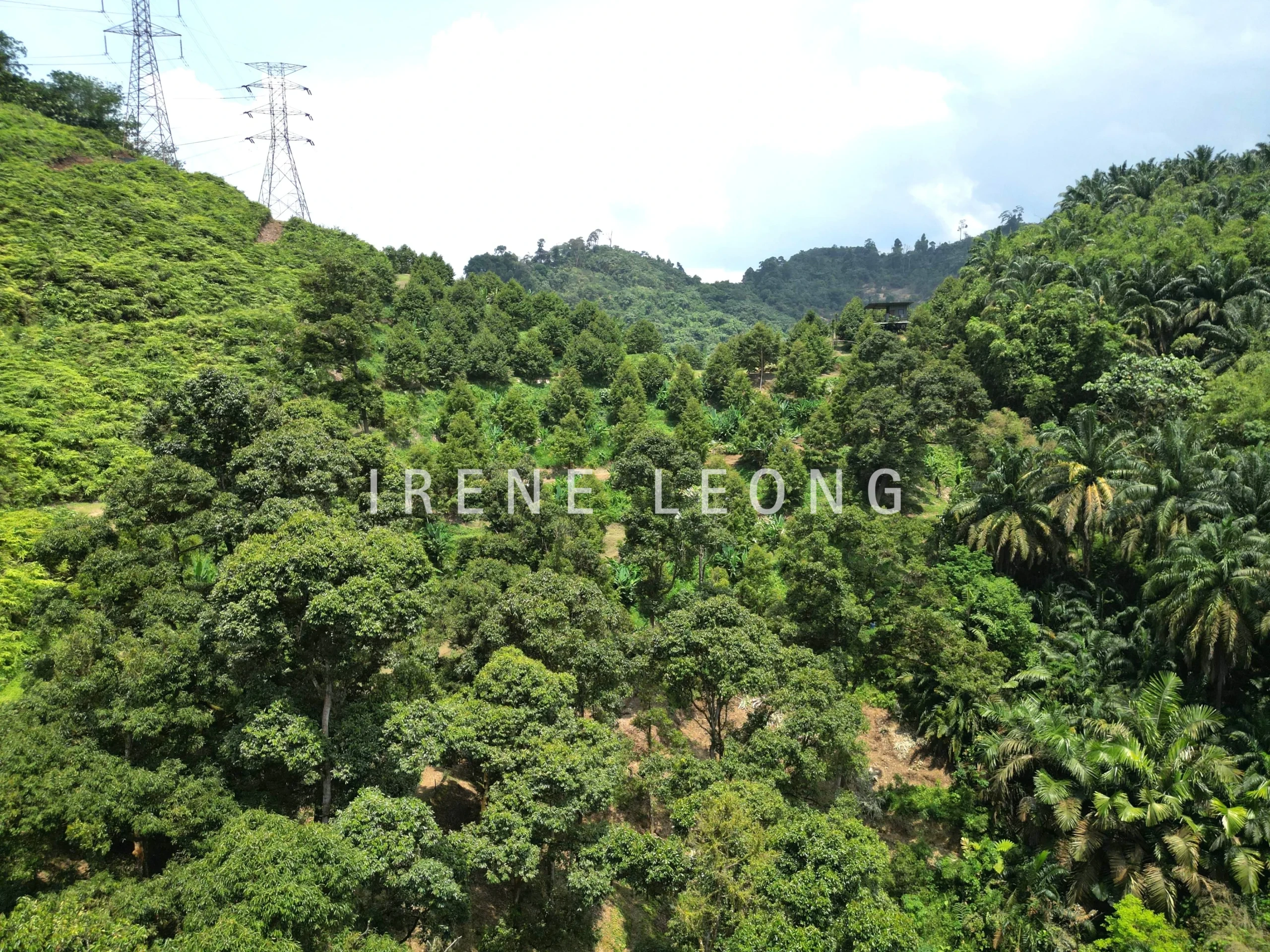 DJI_0492