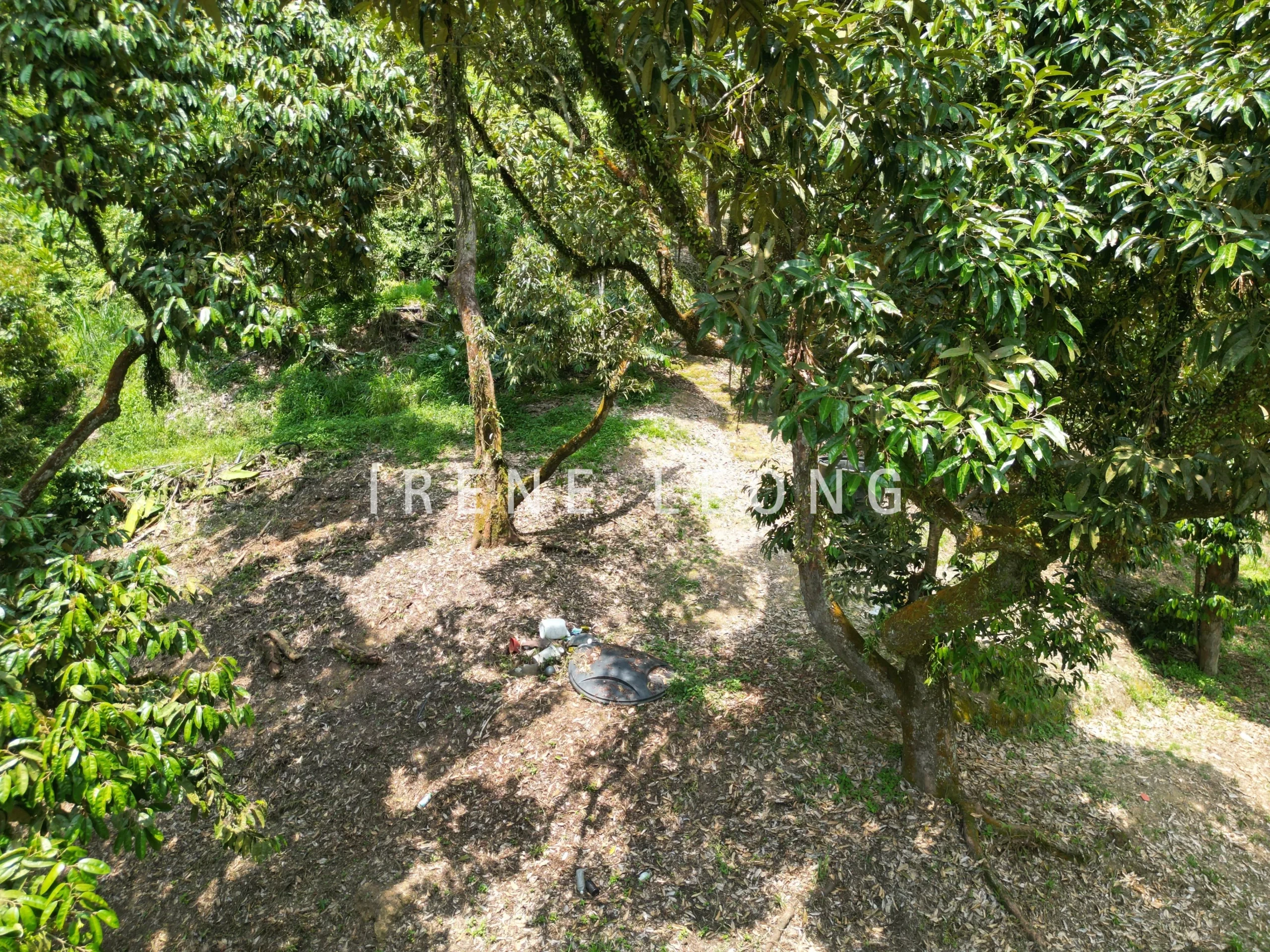 DJI_0501