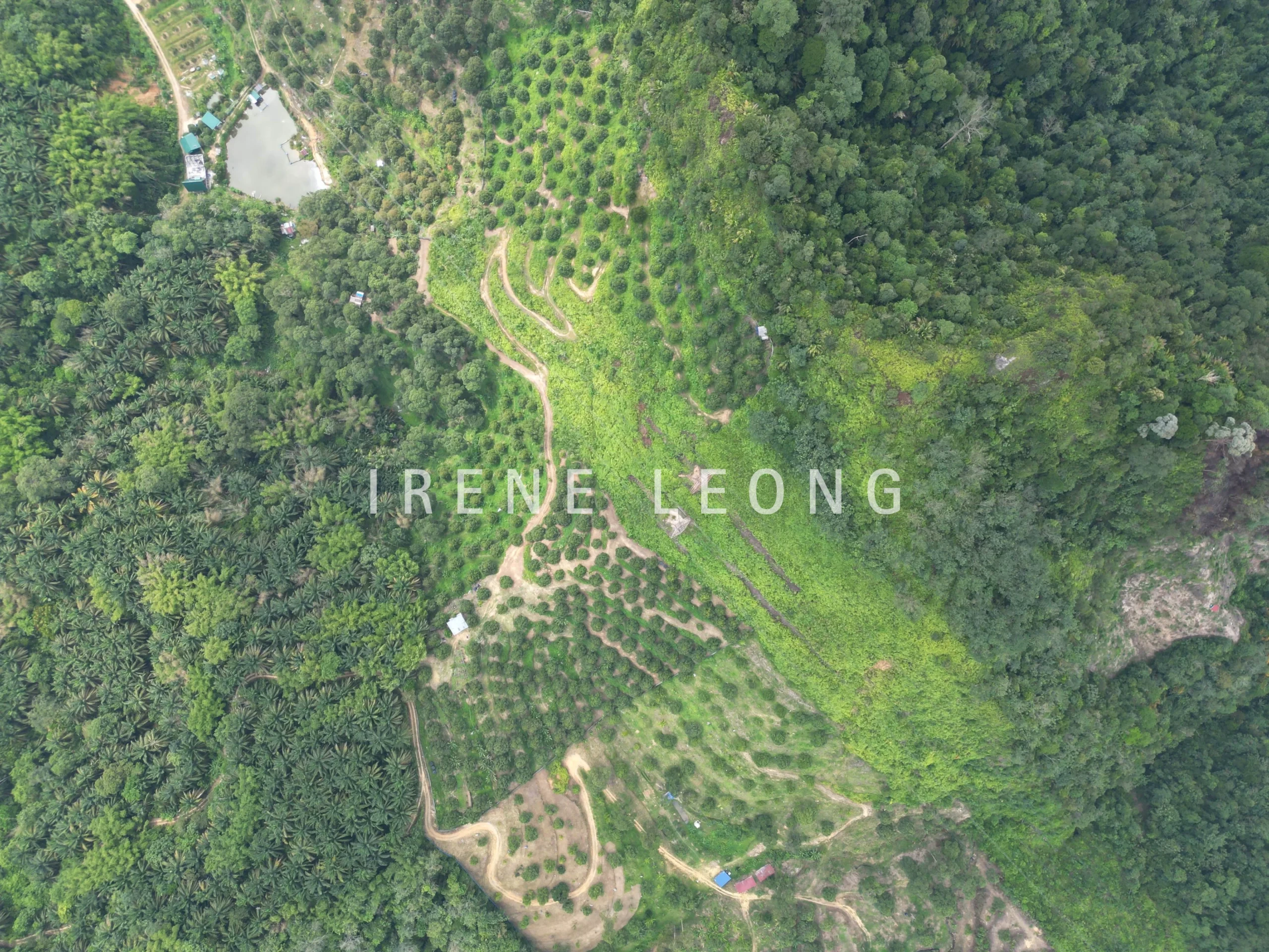 DJI_0522