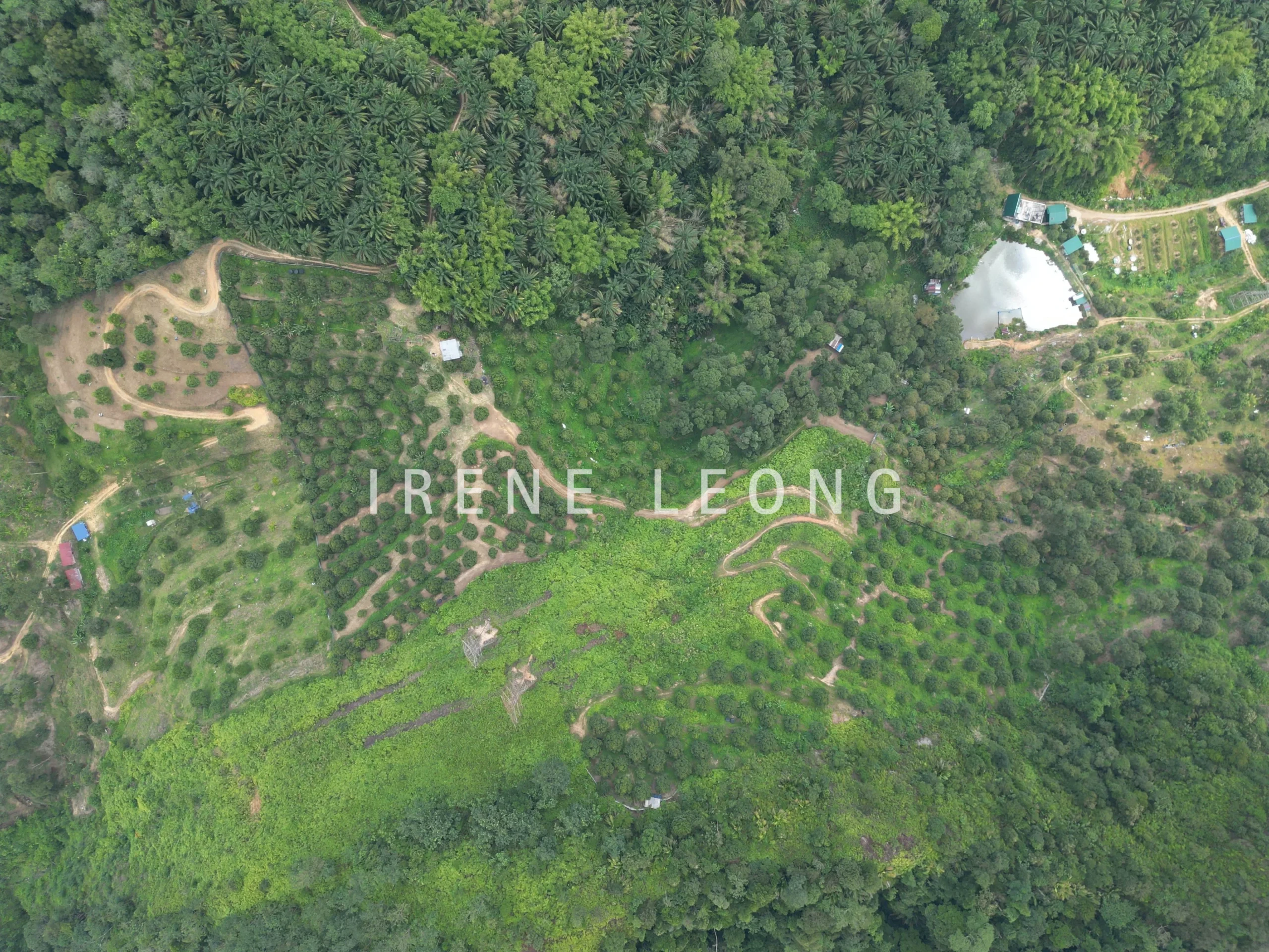 DJI_0526