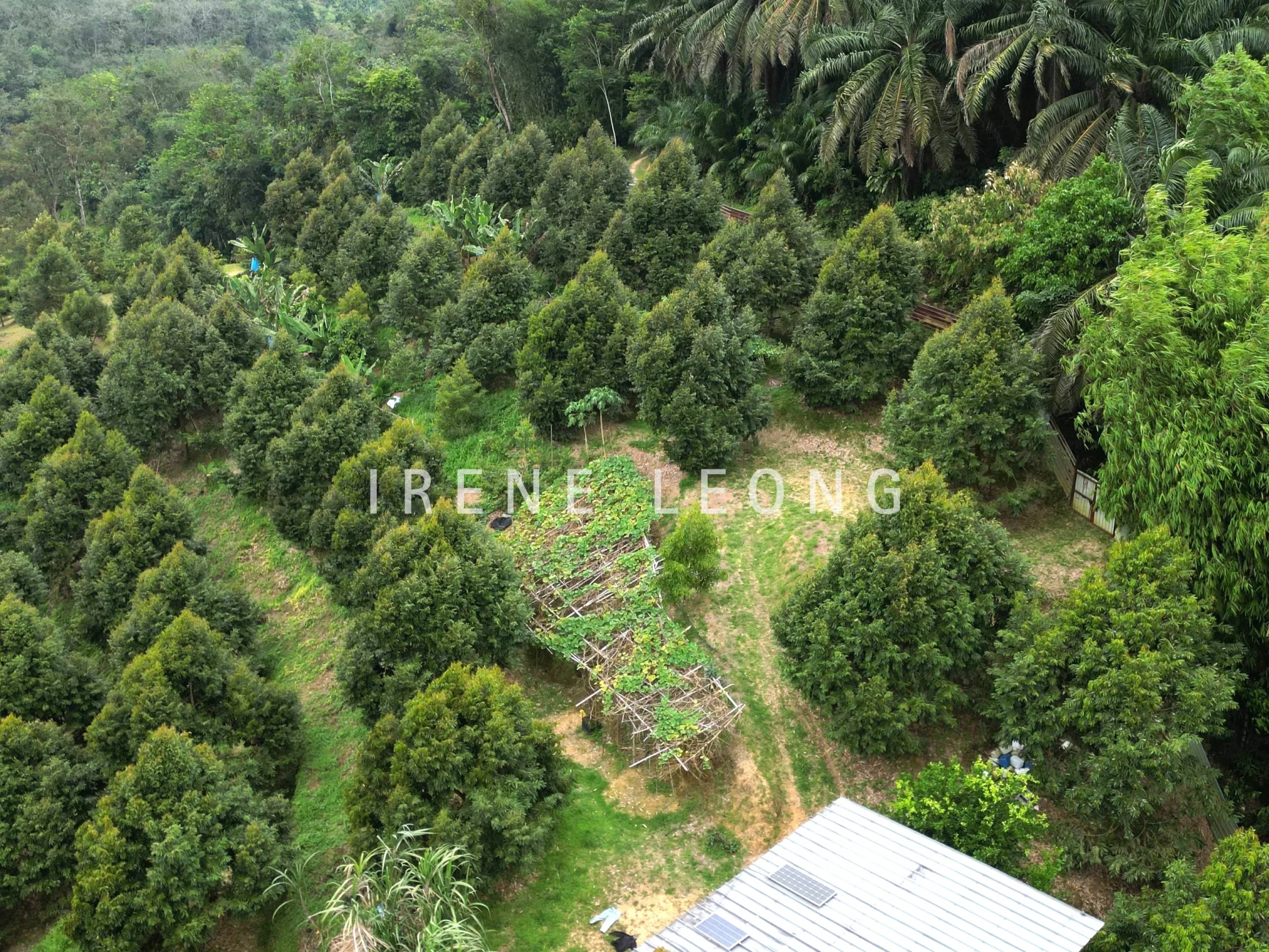 DJI_0530