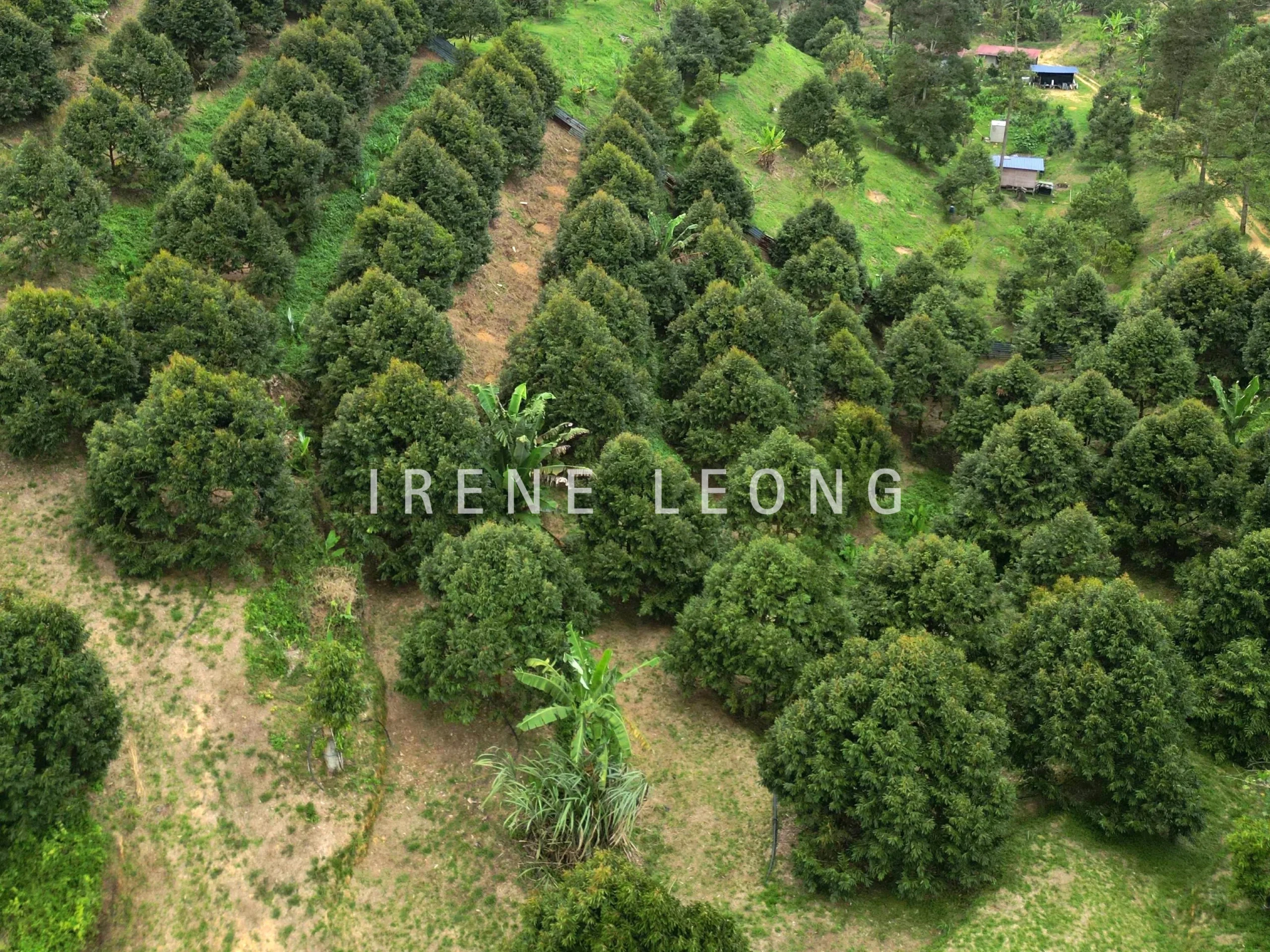 DJI_0532