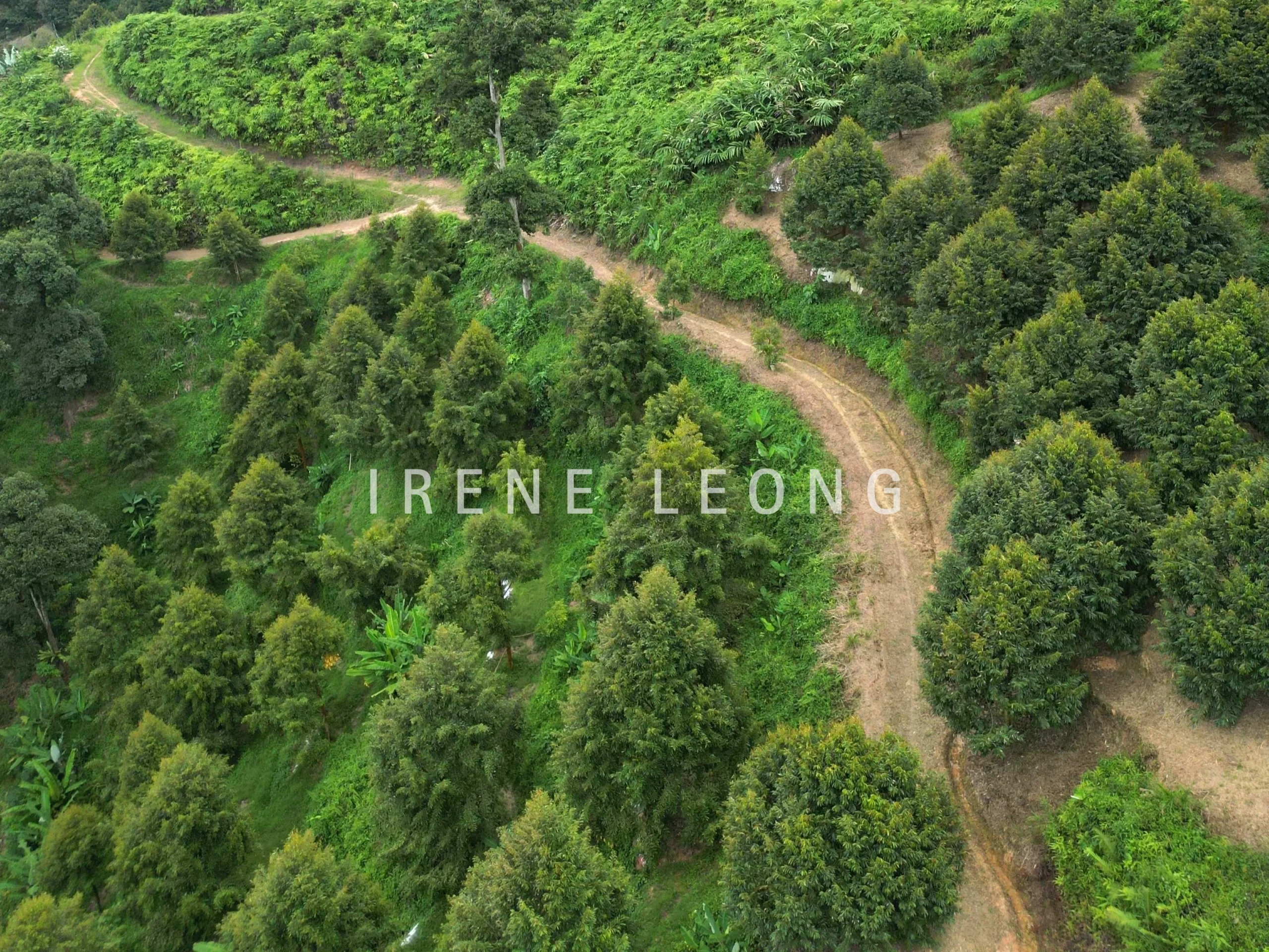 DJI_0537