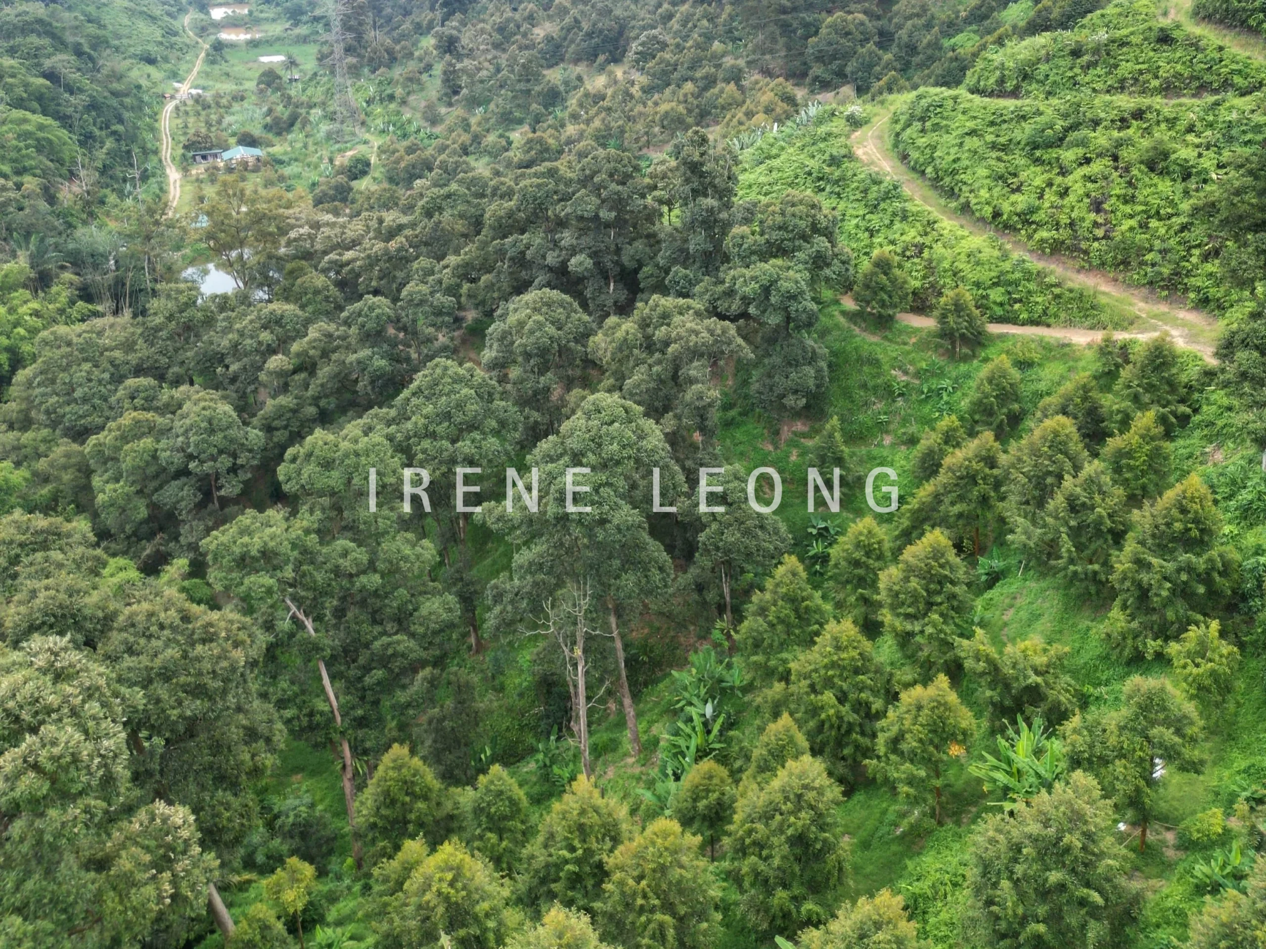 DJI_0538