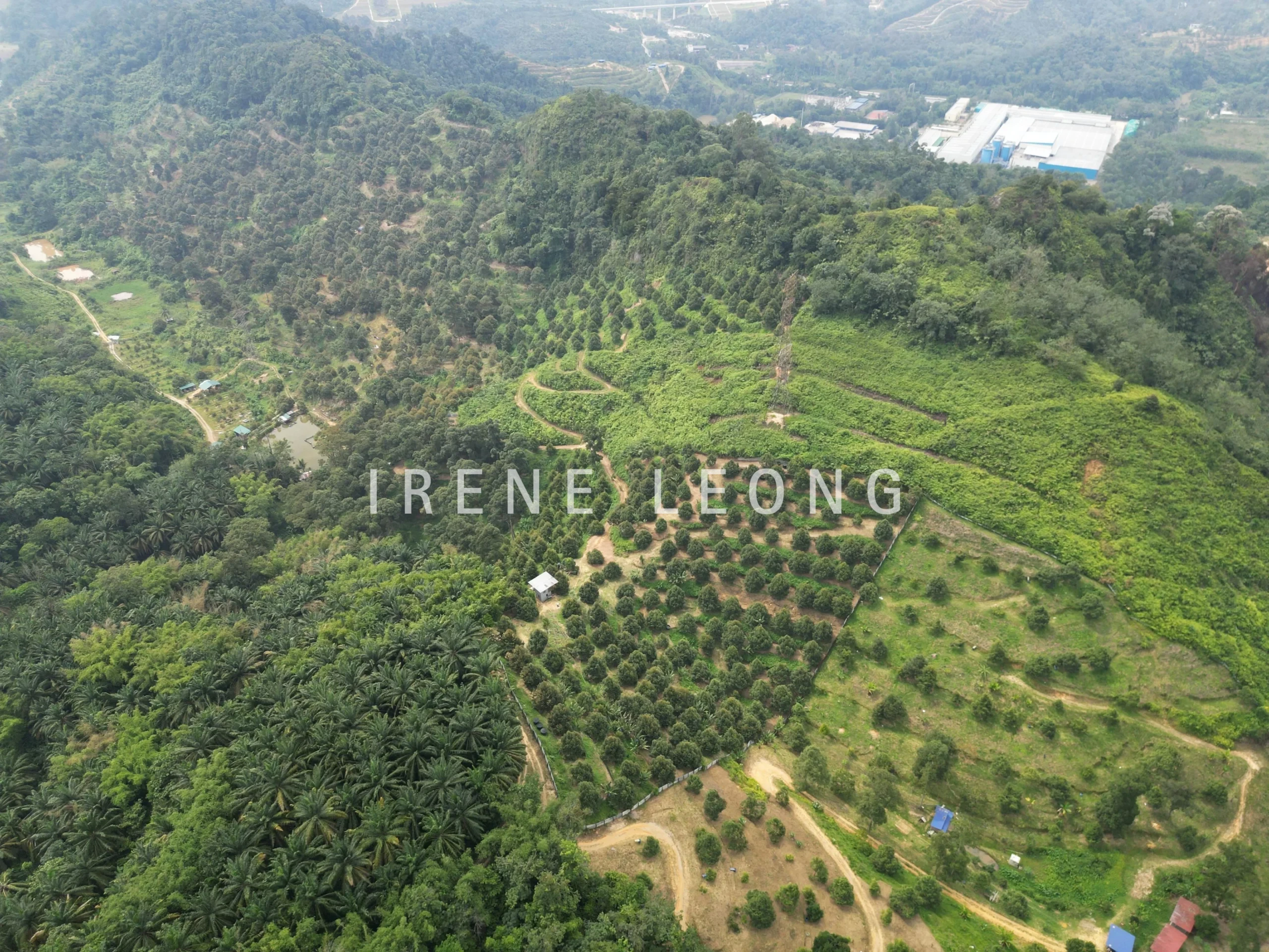 DJI_0550