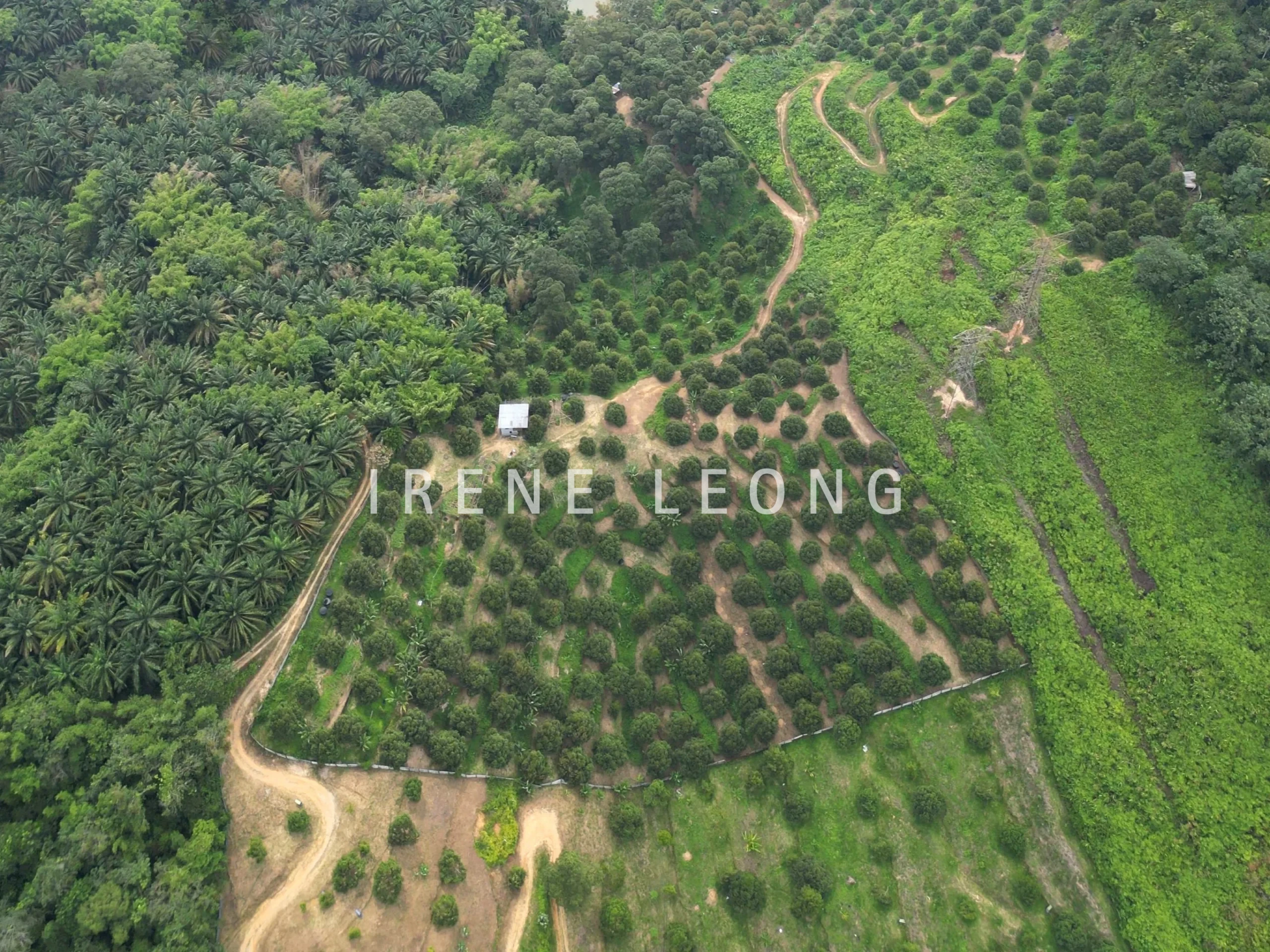 DJI_0566