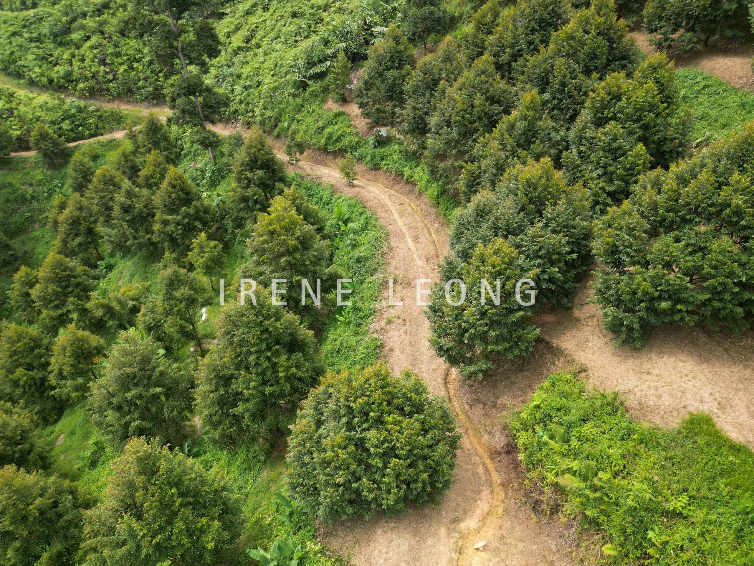 DJI_0574