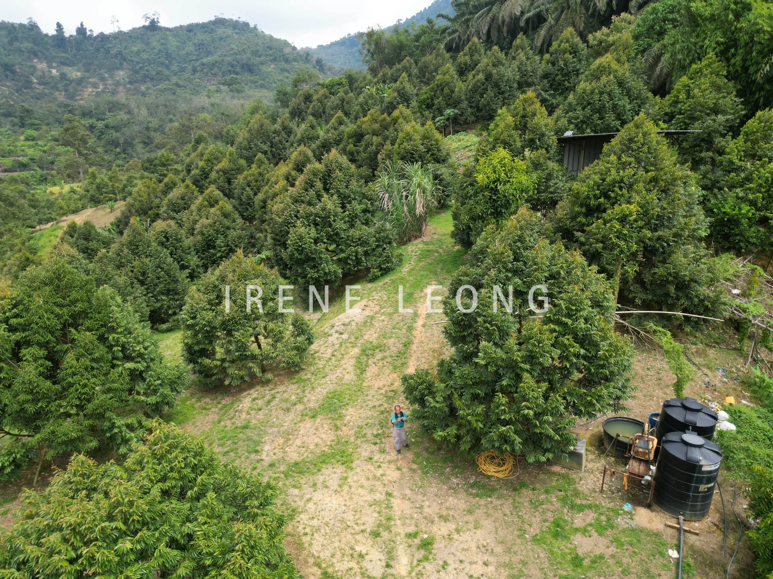 DJI_0580