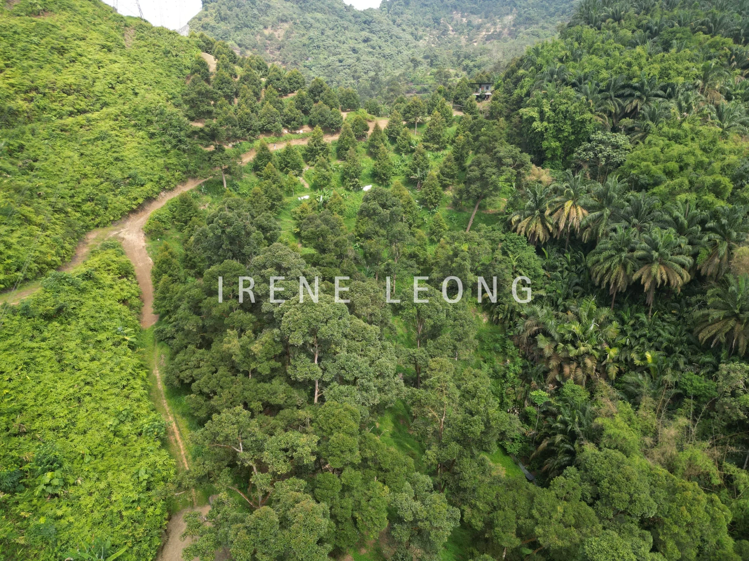 DJI_0588
