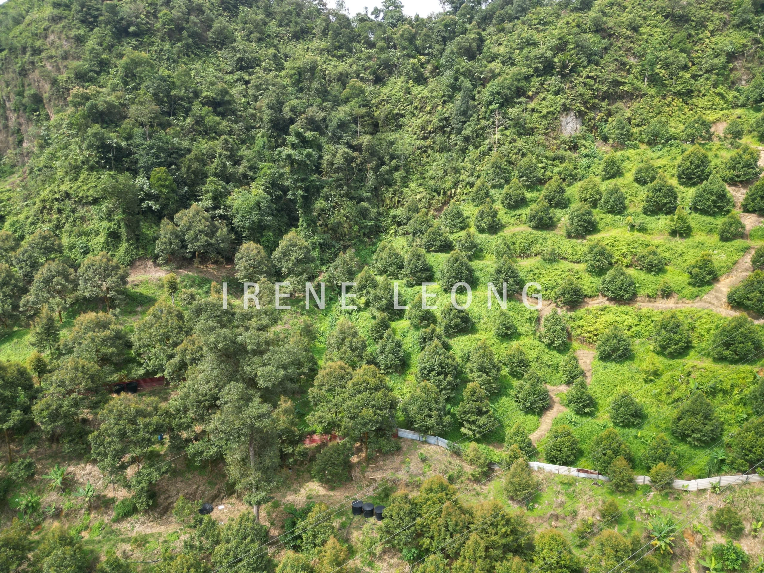 DJI_0596