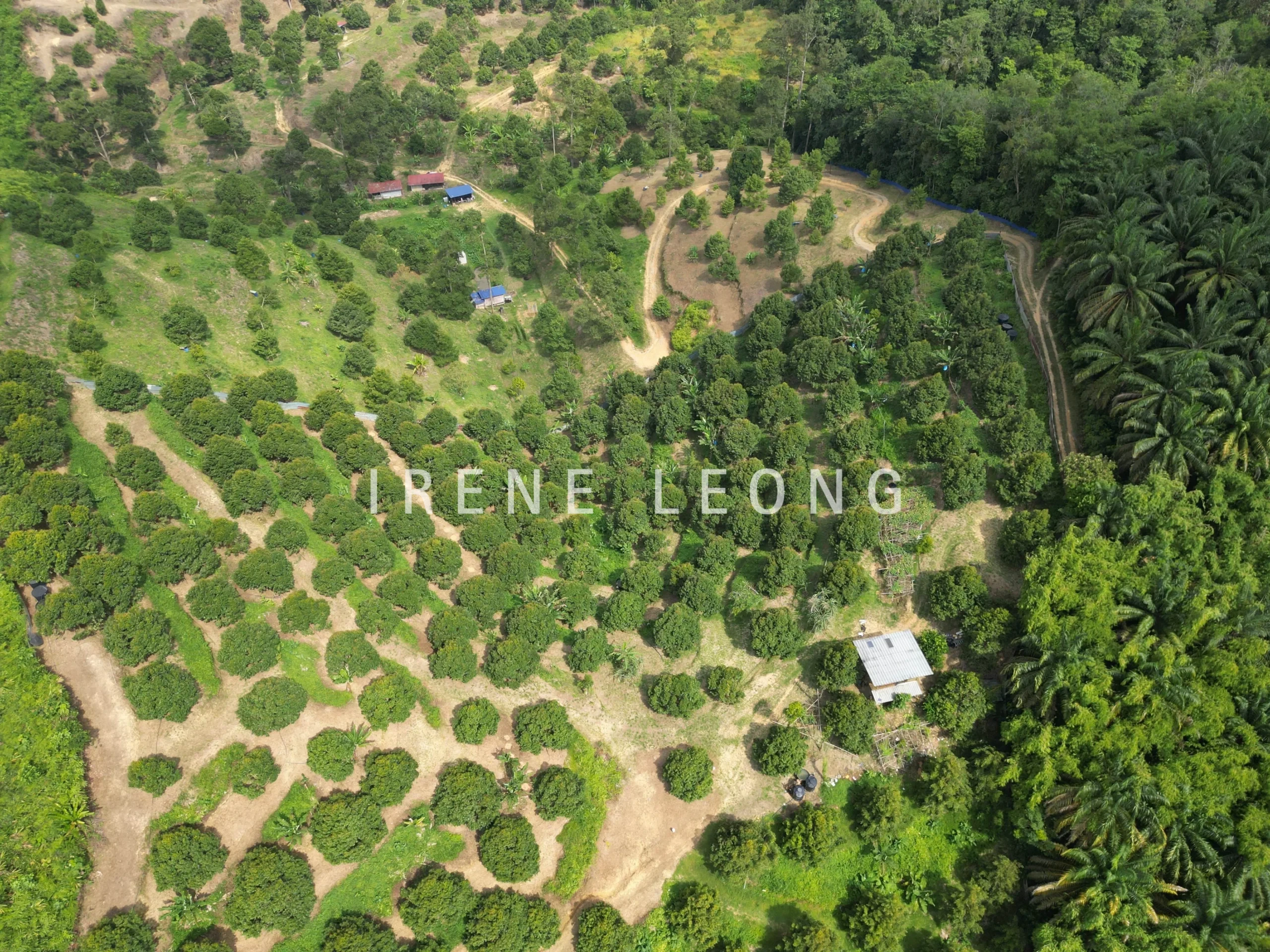 DJI_0610