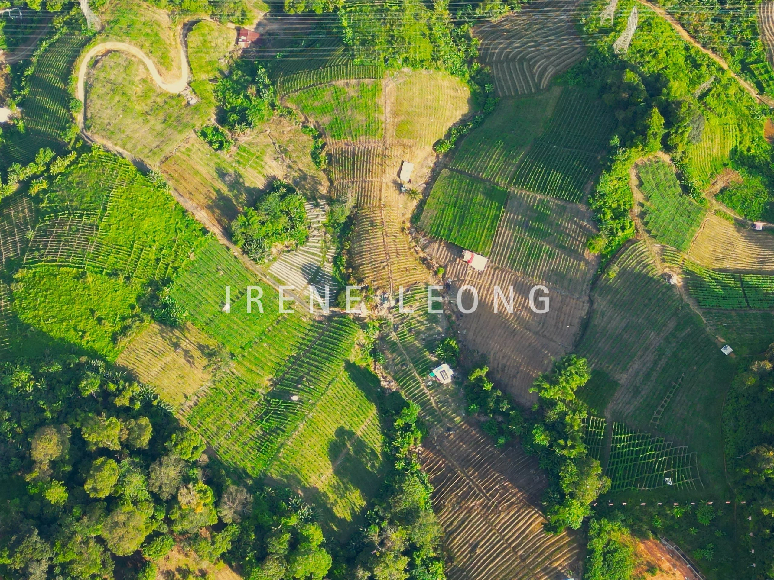 DJI_0834--crushimage
