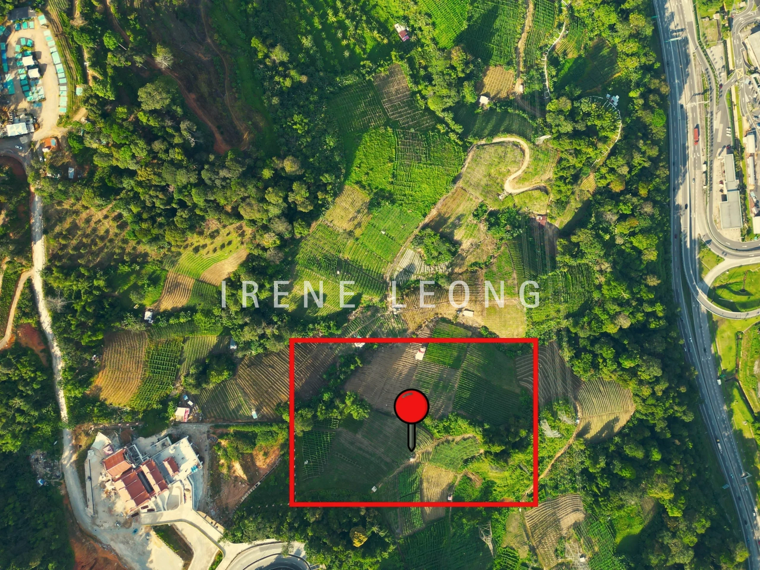DJI_0842--crushimage