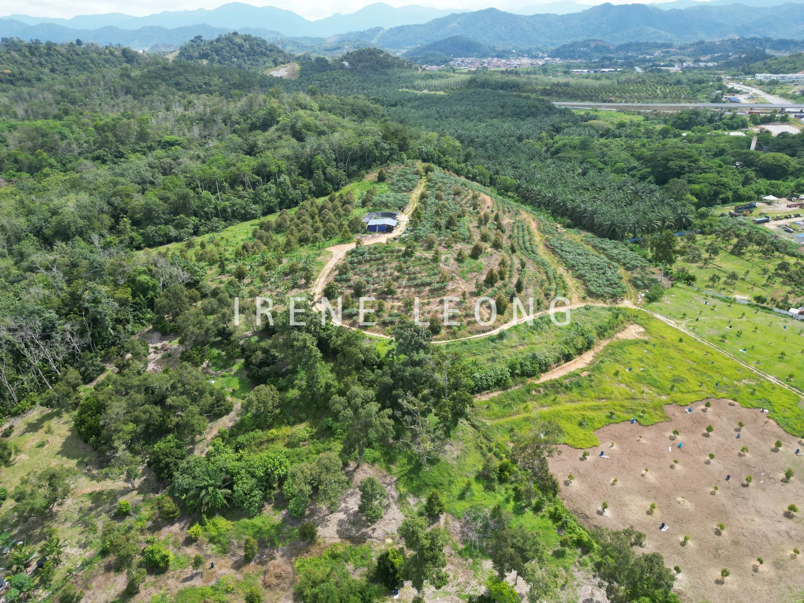 DJI_0883-crushimage