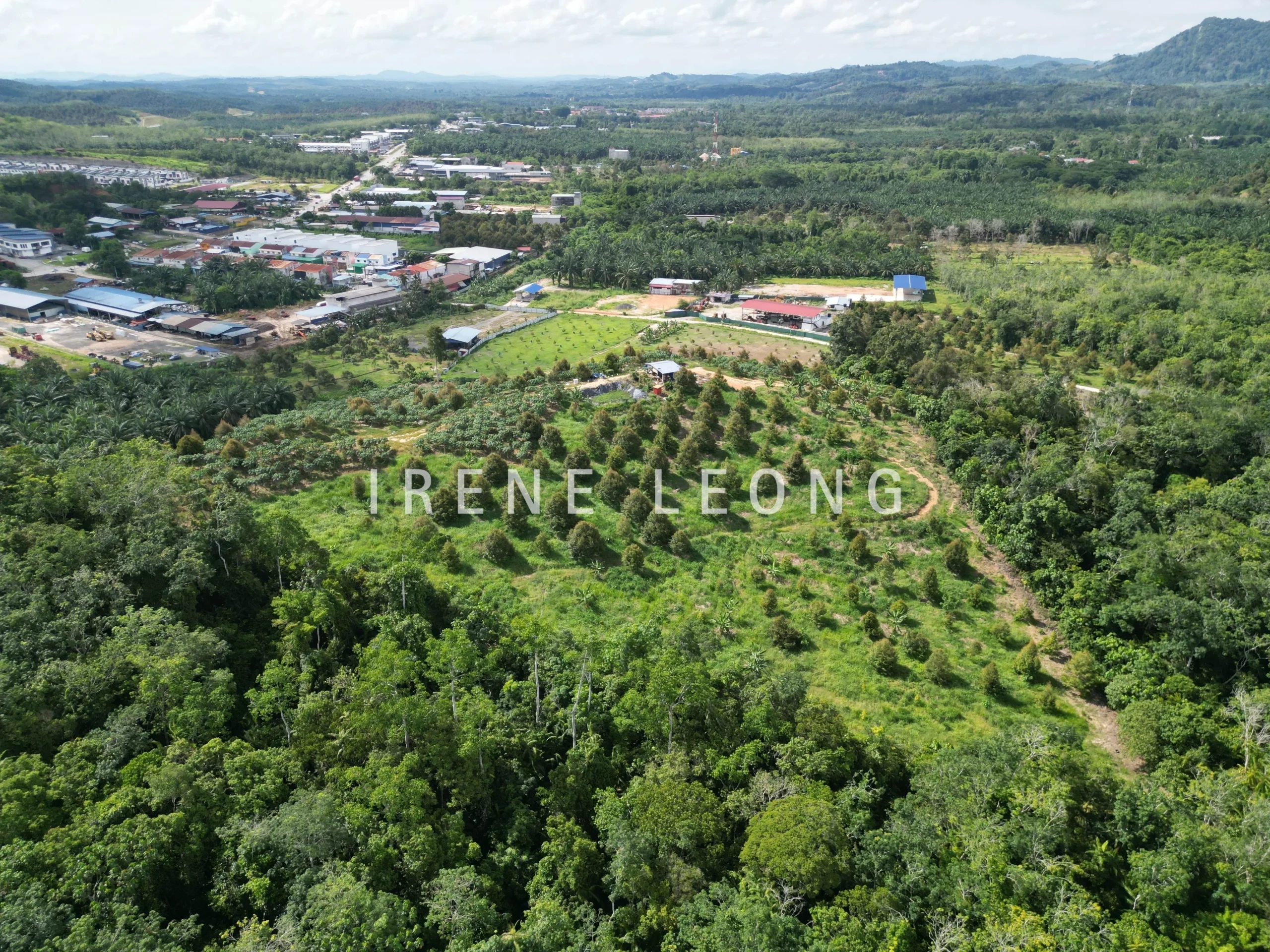 DJI_0892-crushimage