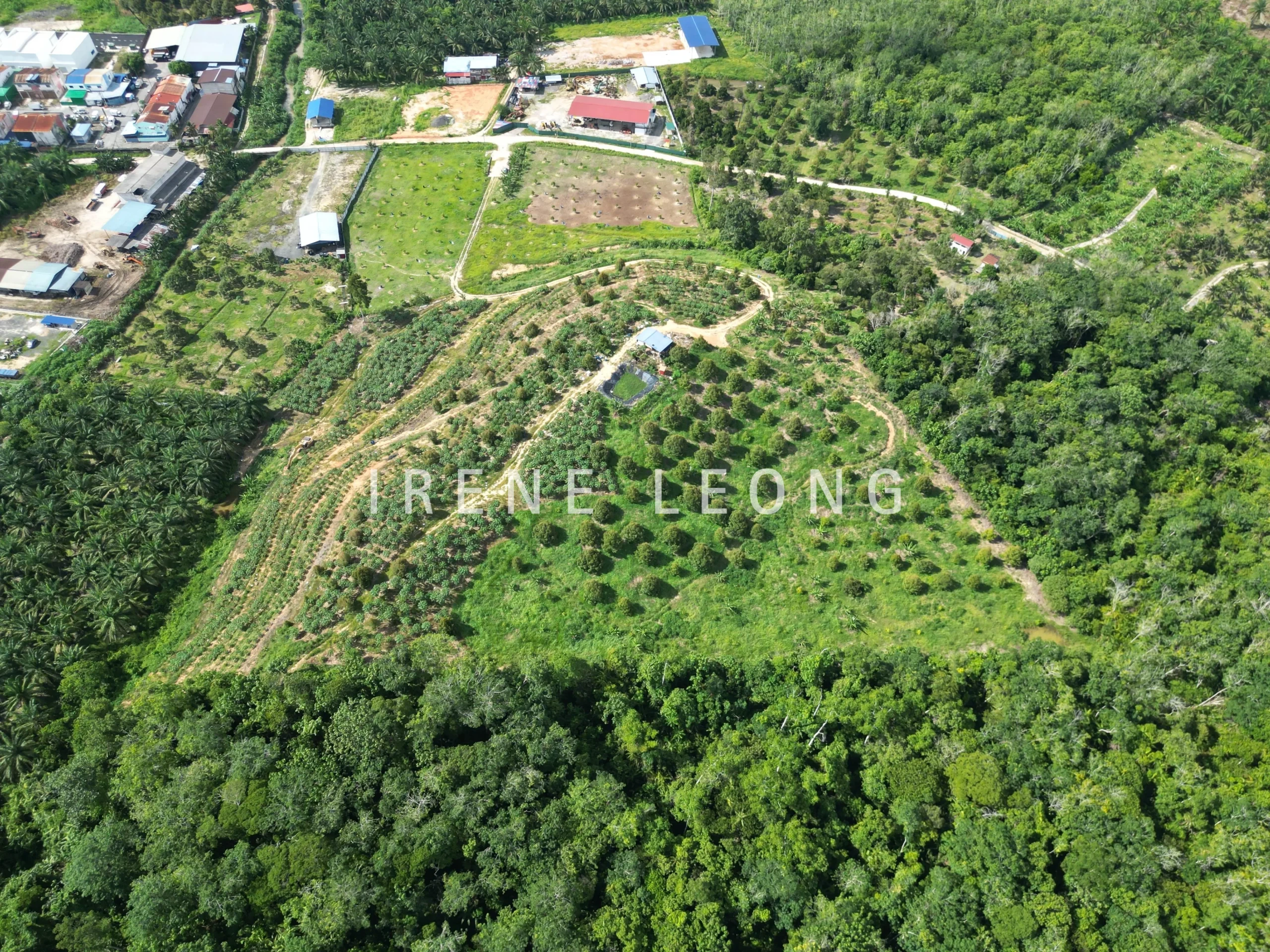 DJI_0894-crushimage