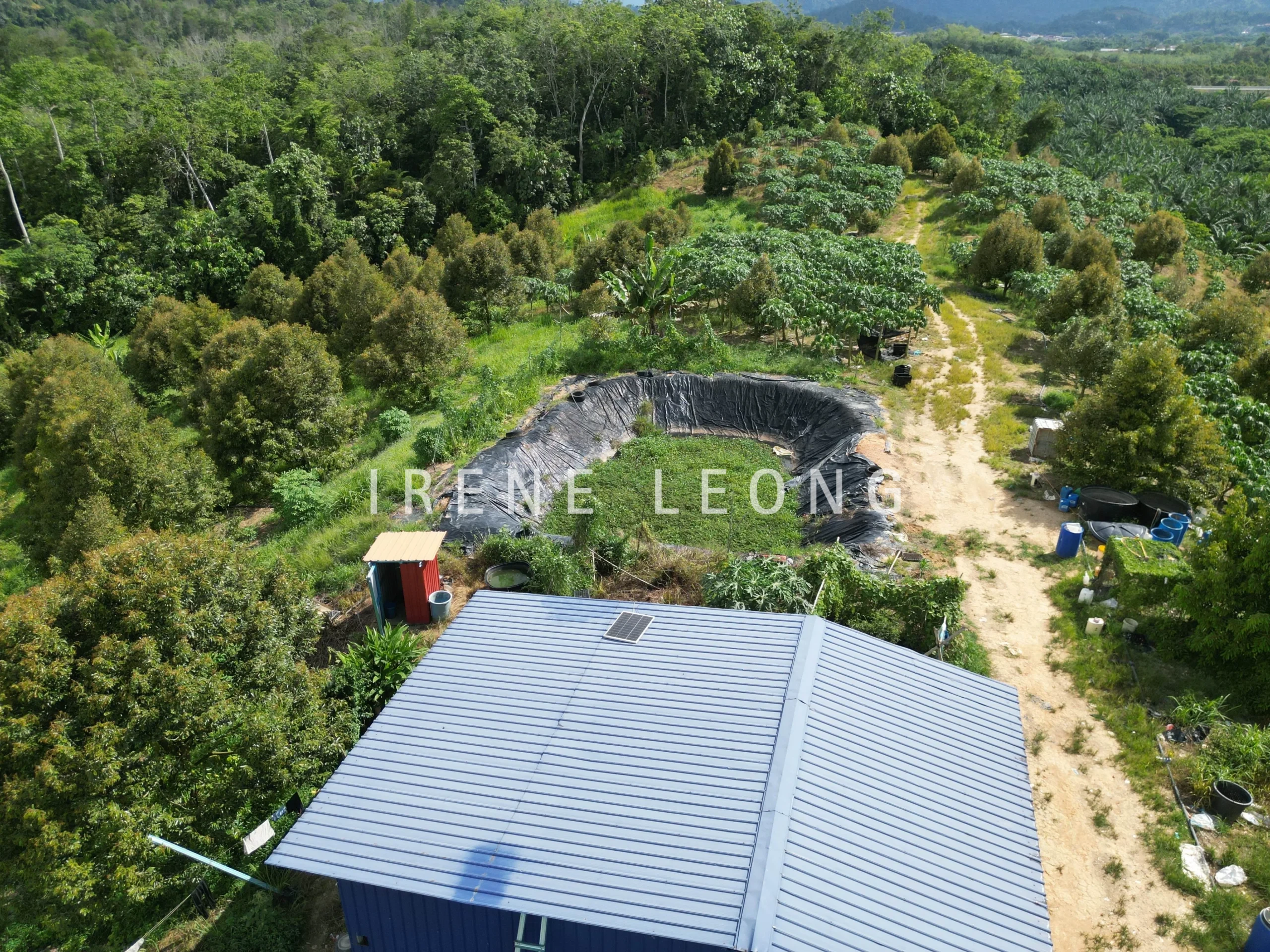 DJI_0919-crushimage