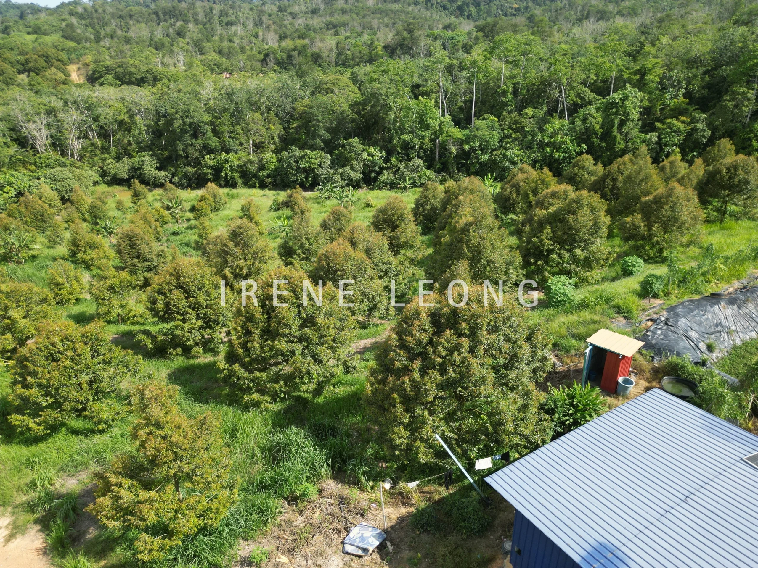 DJI_0920-crushimage