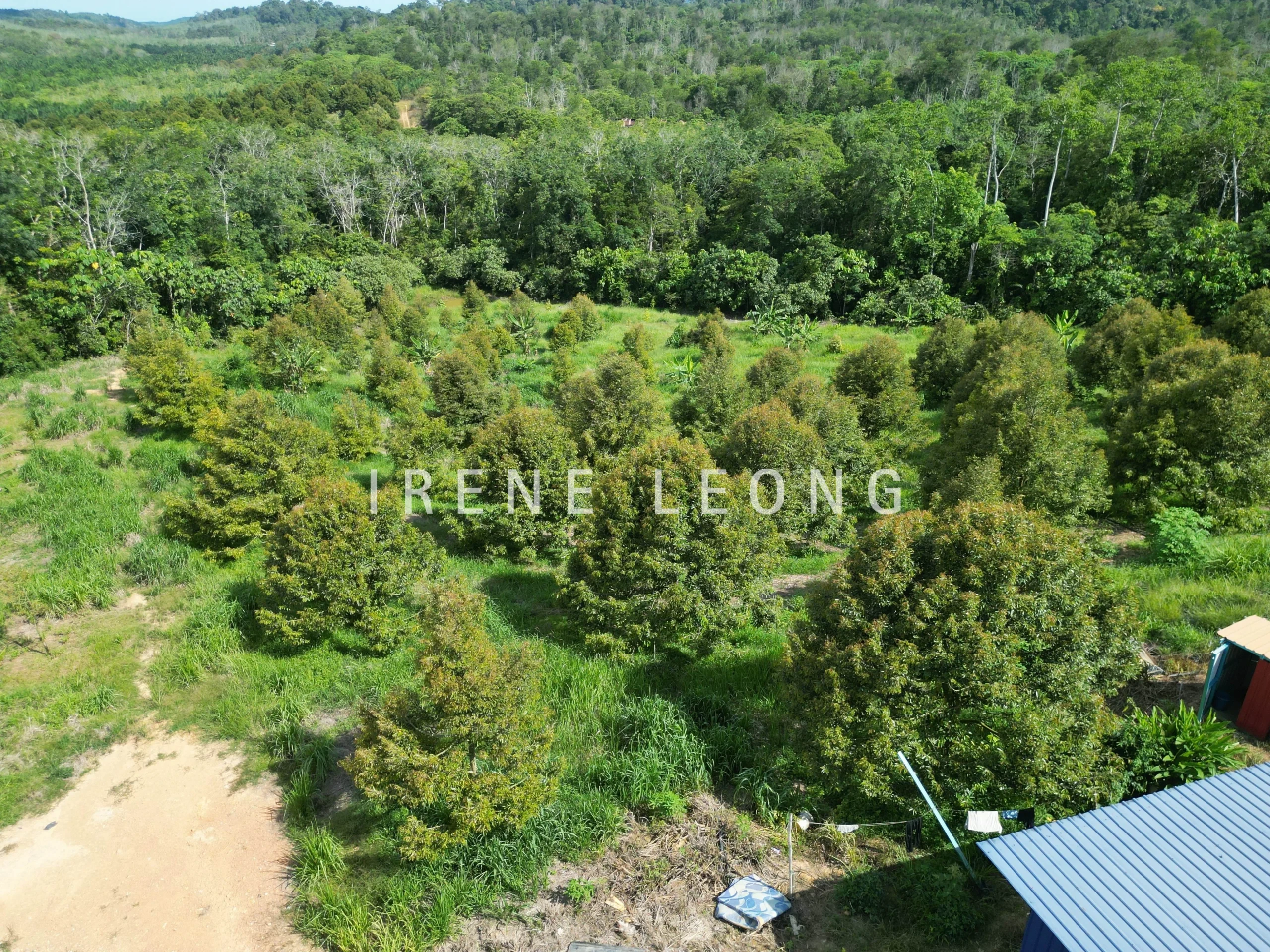 DJI_0922-crushimage