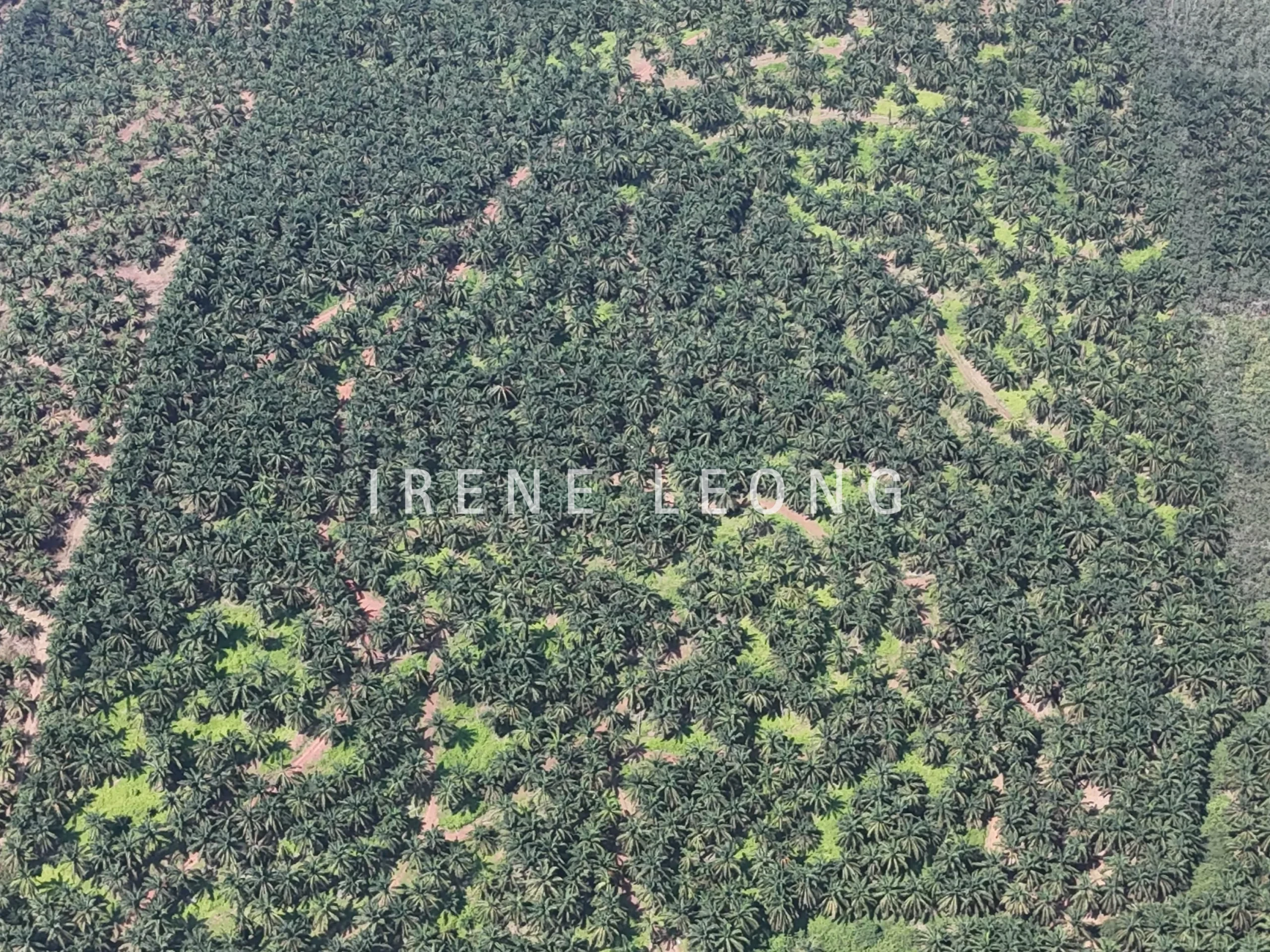 DJI_20250704114732_0081_D-min