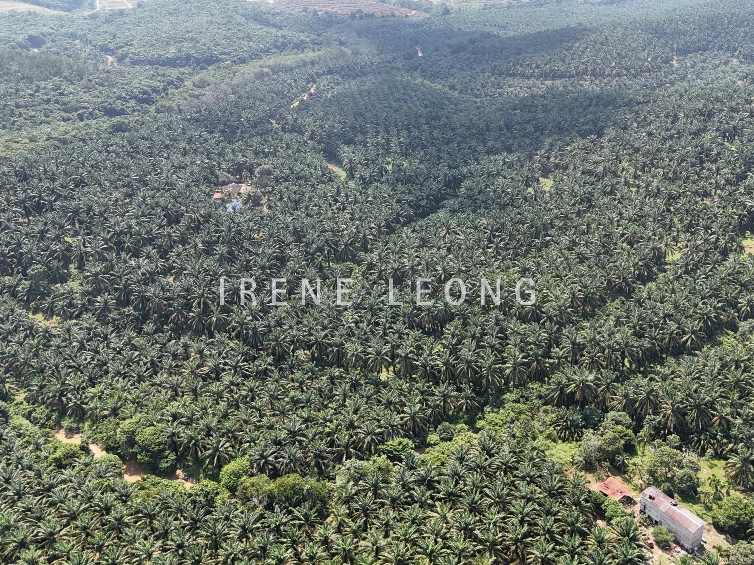 DJI_20250704115314_0087_D-min