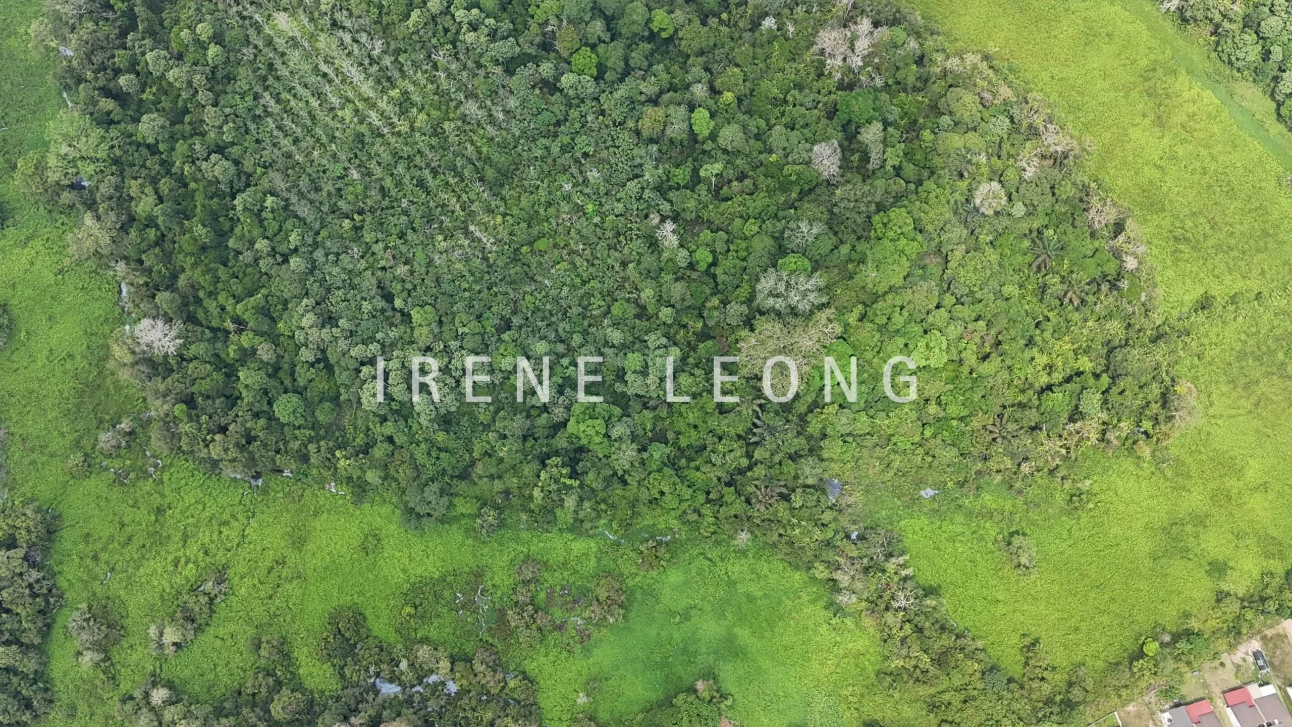DJI_20260227122231_0629_D-CompressJPG