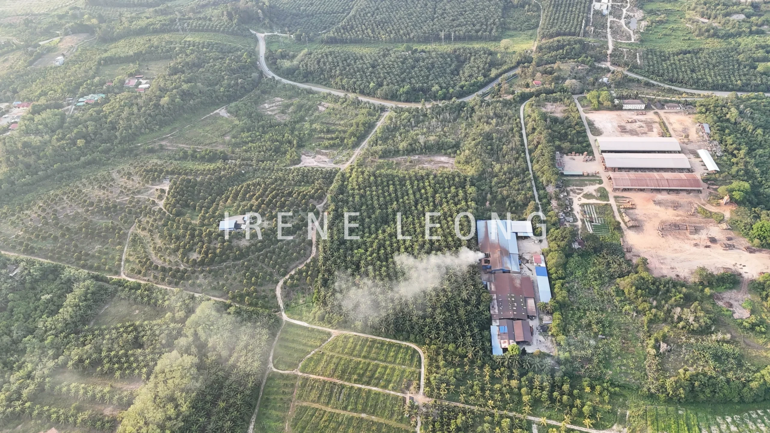 DJI_20260325184706_0709_D-crushimage