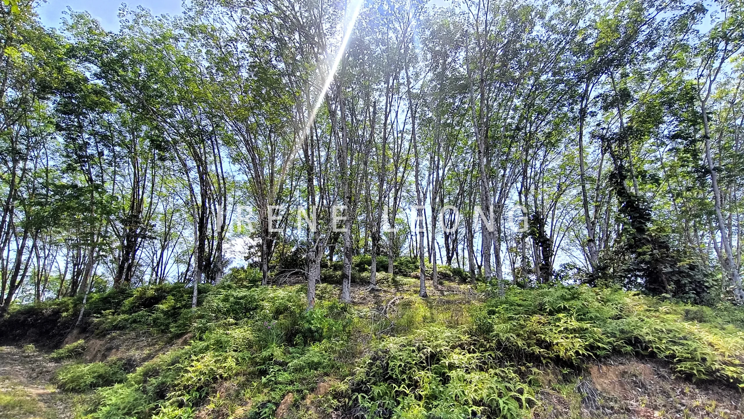 IMG20260325144924