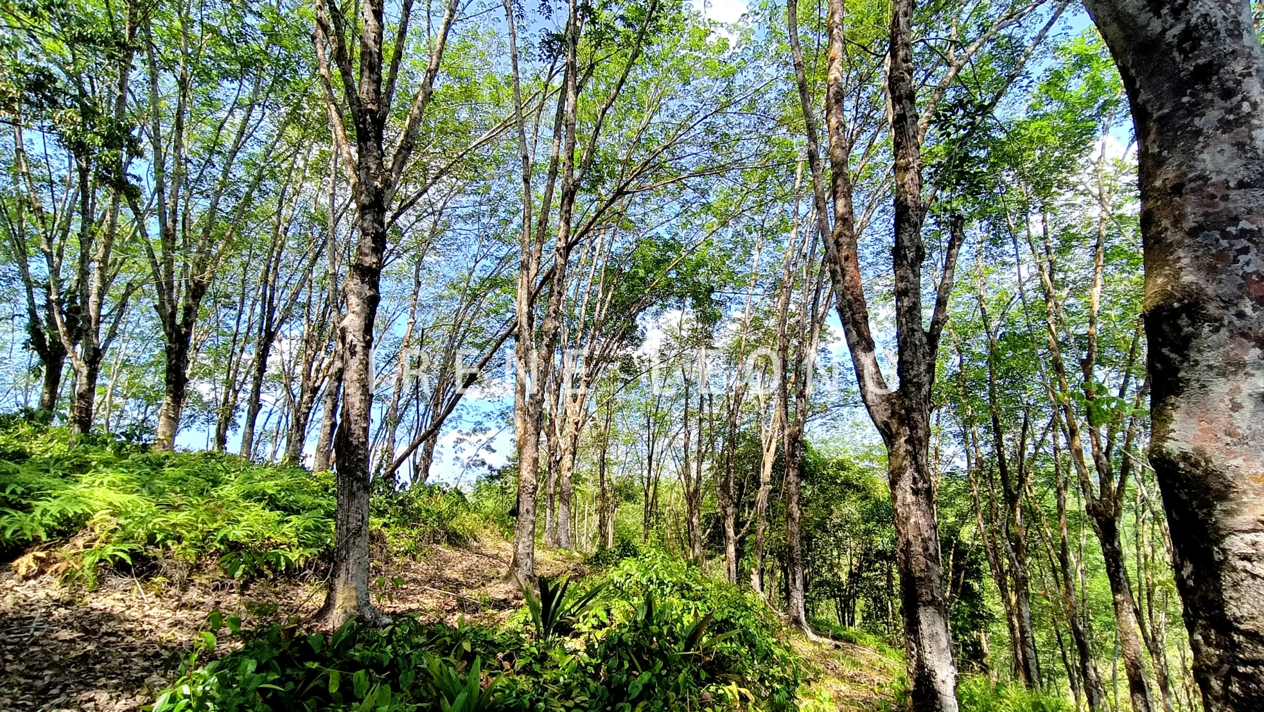 IMG20260325145913