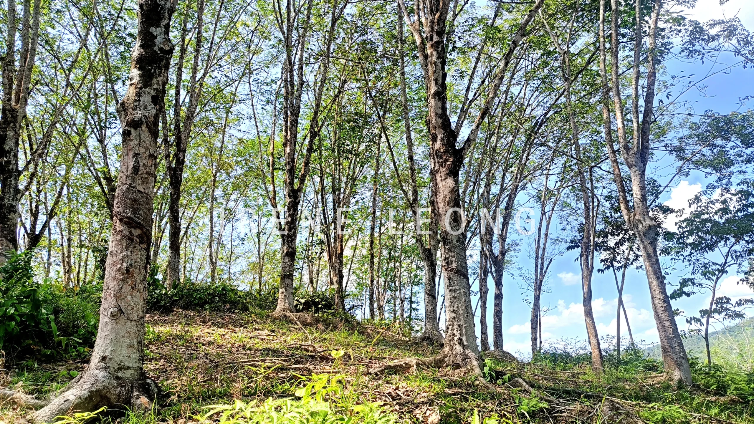 IMG20260325150043